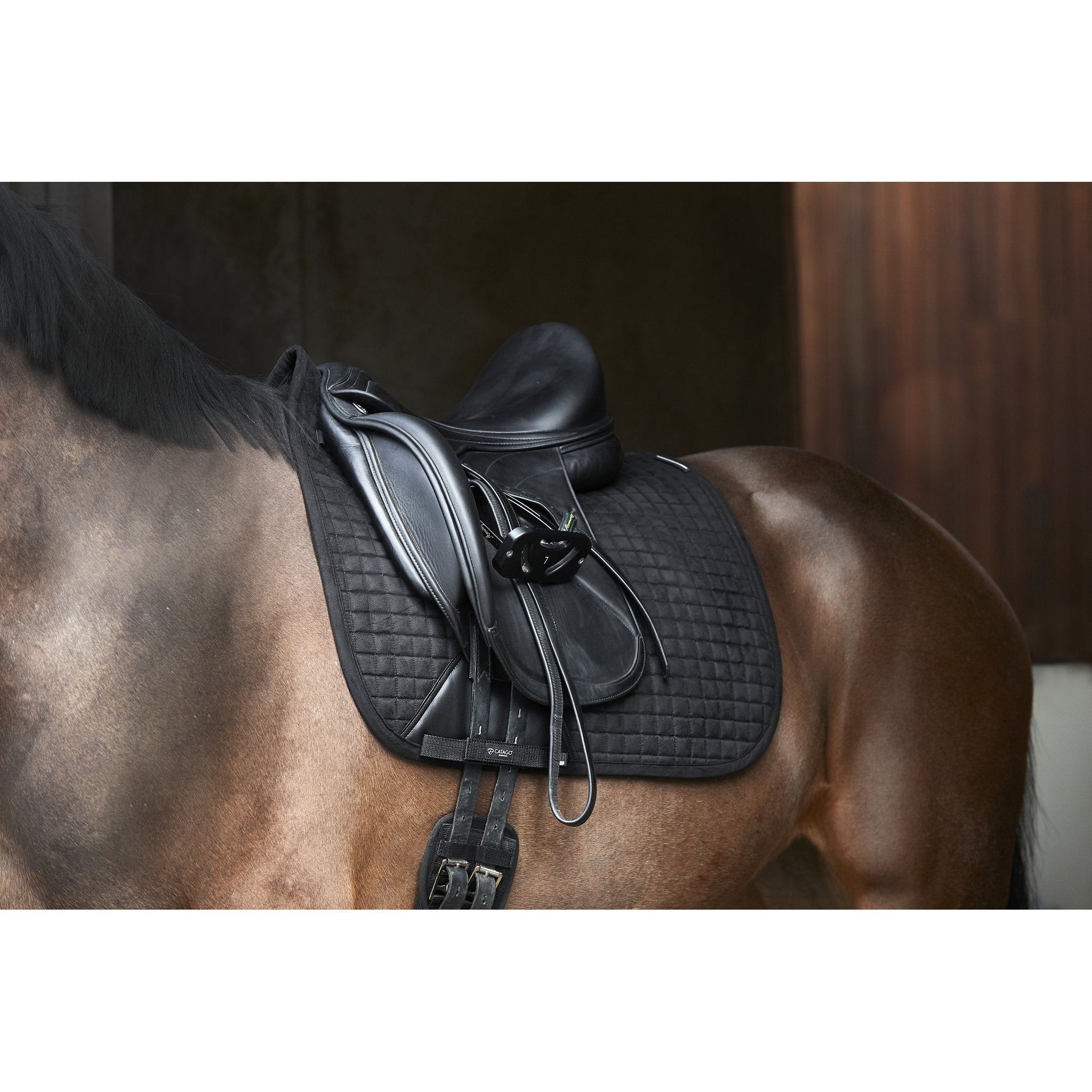 CATAGO FIR-Tech Performance schabrak Dressyr