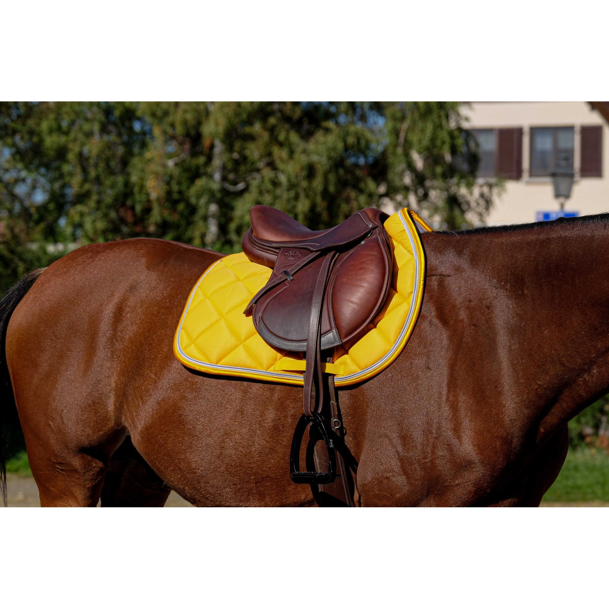 Equithème Classic Schabrak