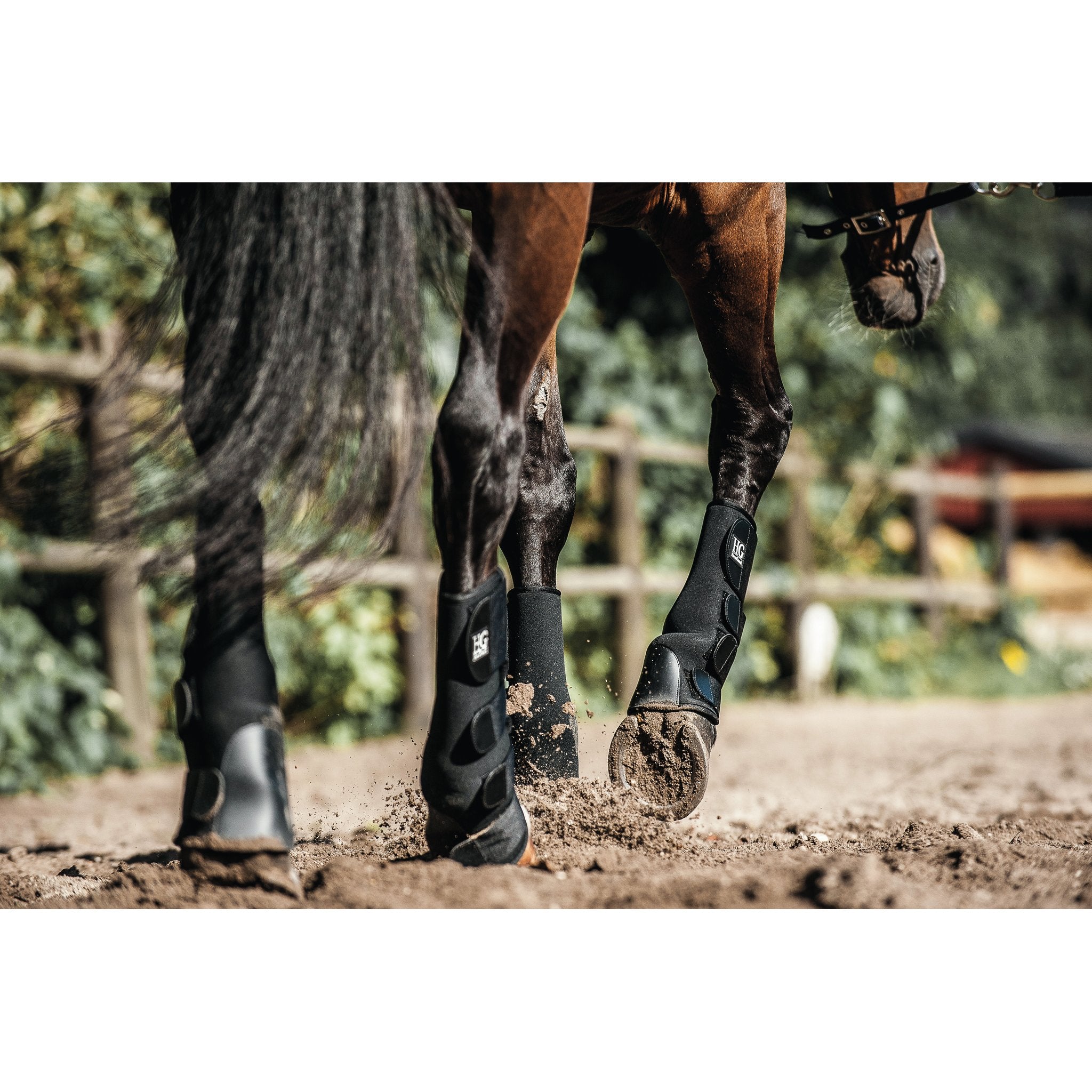 HorseGuard Neopren paddock benskydd