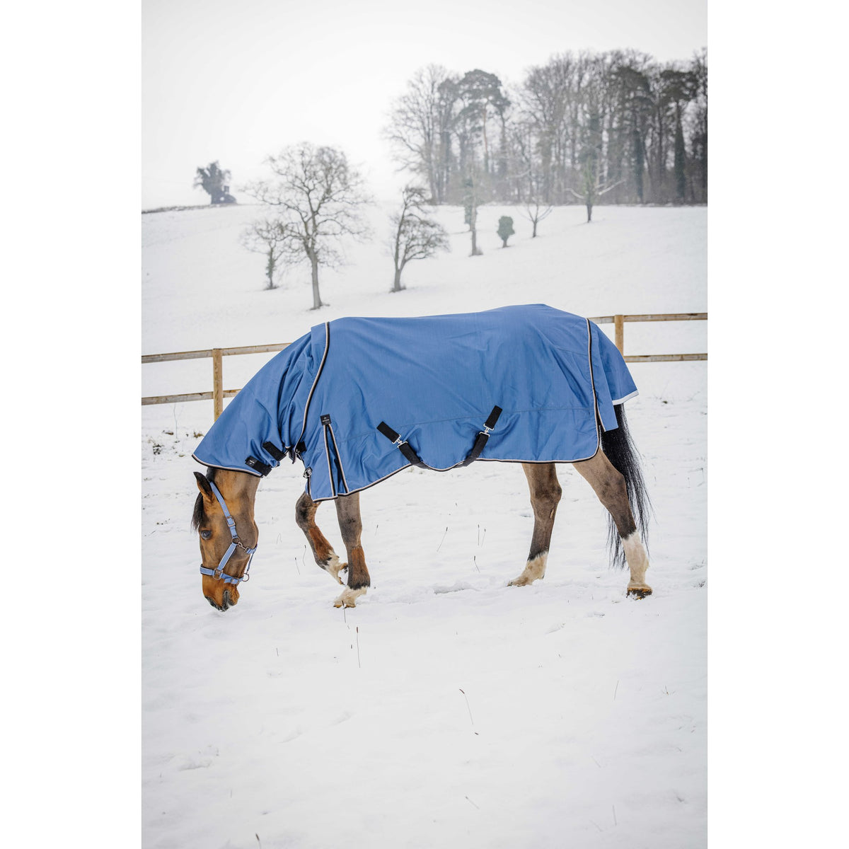 Equitheme Tyrex Aisance halstäcke 1200D