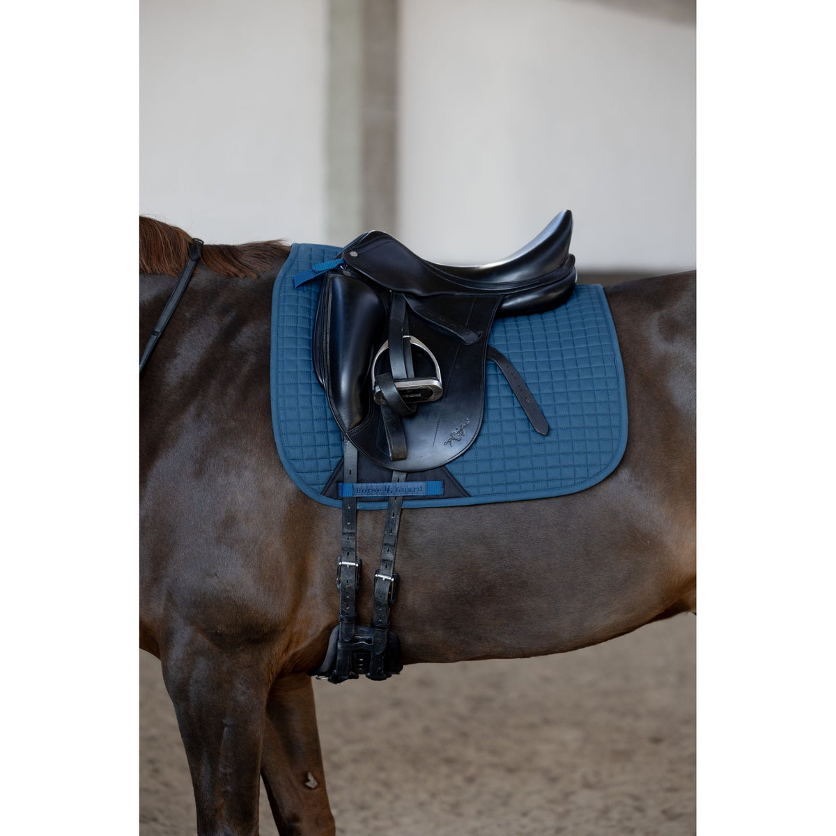 Horse Guard Elmira schabrak, dressyr
