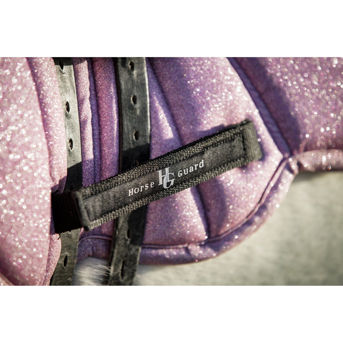 Horse Guard Wing Schabrak