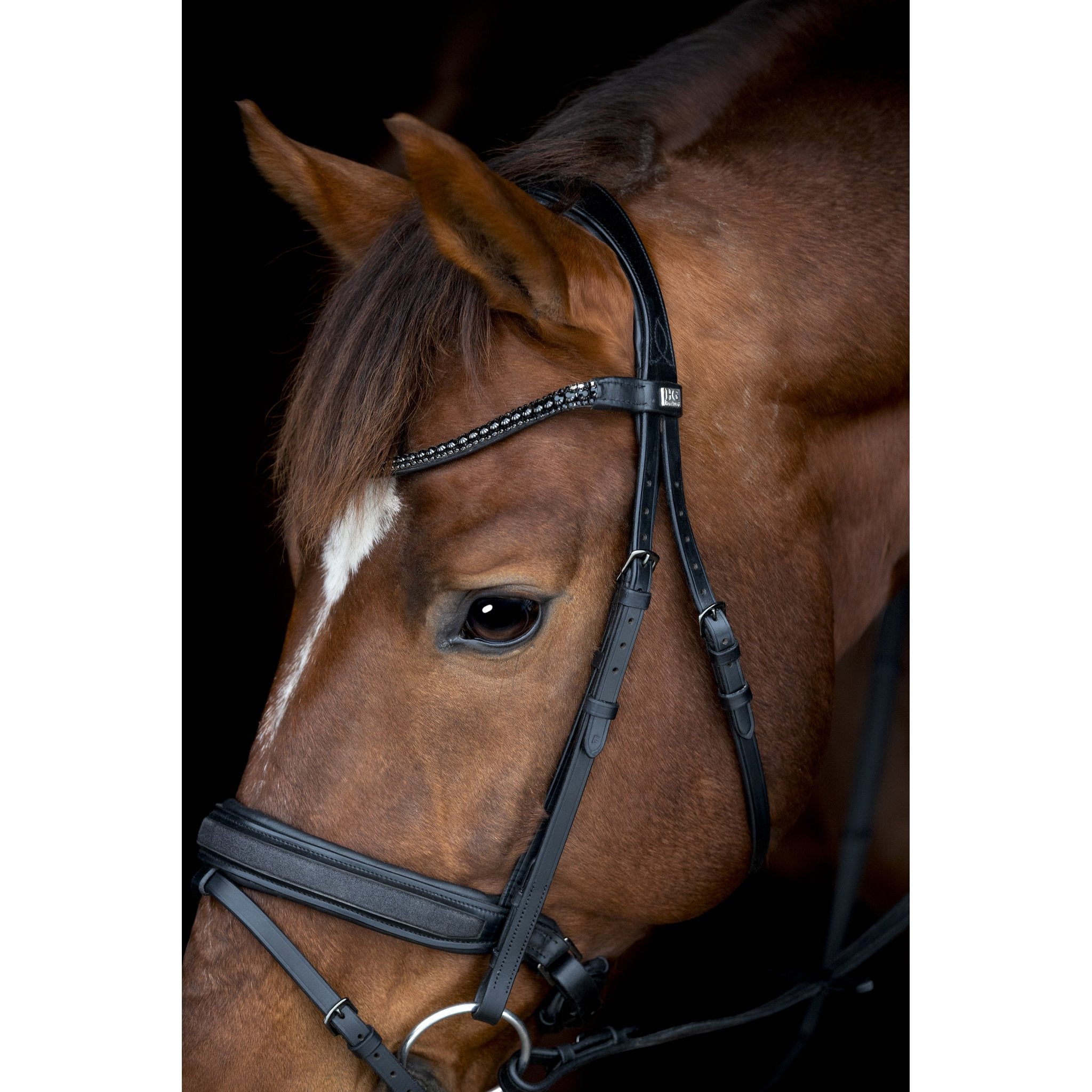 Horse Guard Cryll 26.2 träns med pull-back och kombinerat nosgrimma