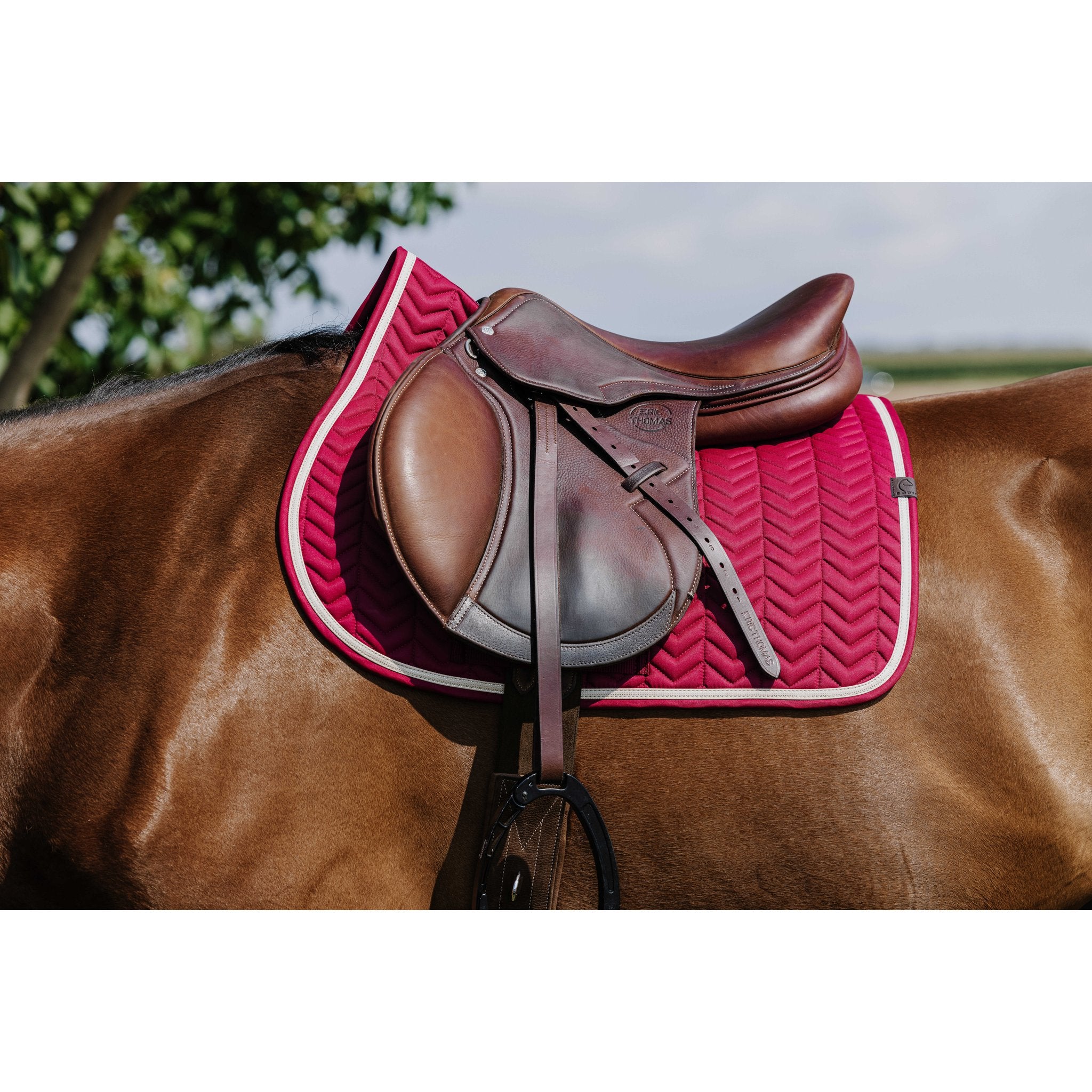 Equitheme Softypop Schabrak