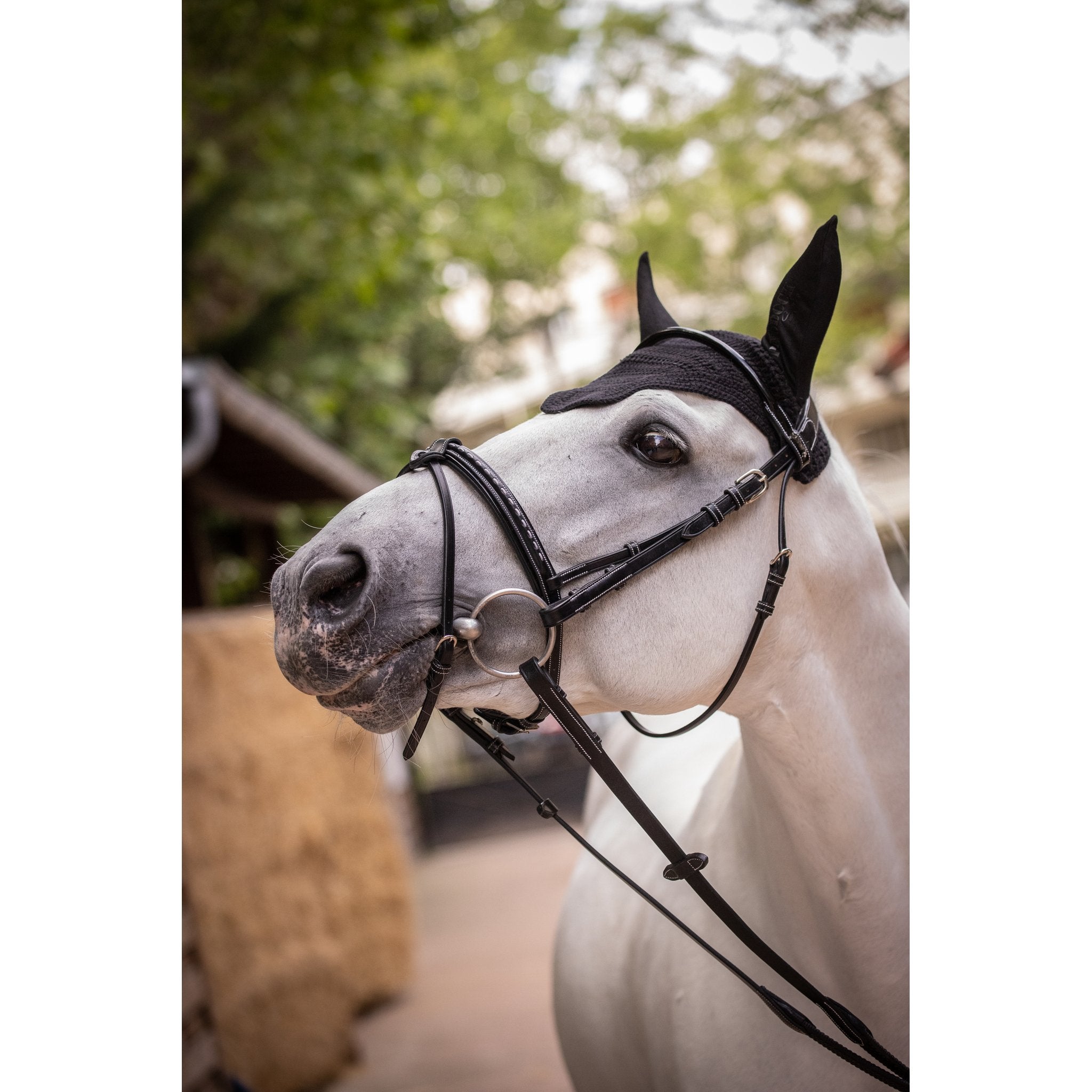 PADDOCK Pro coton luva
