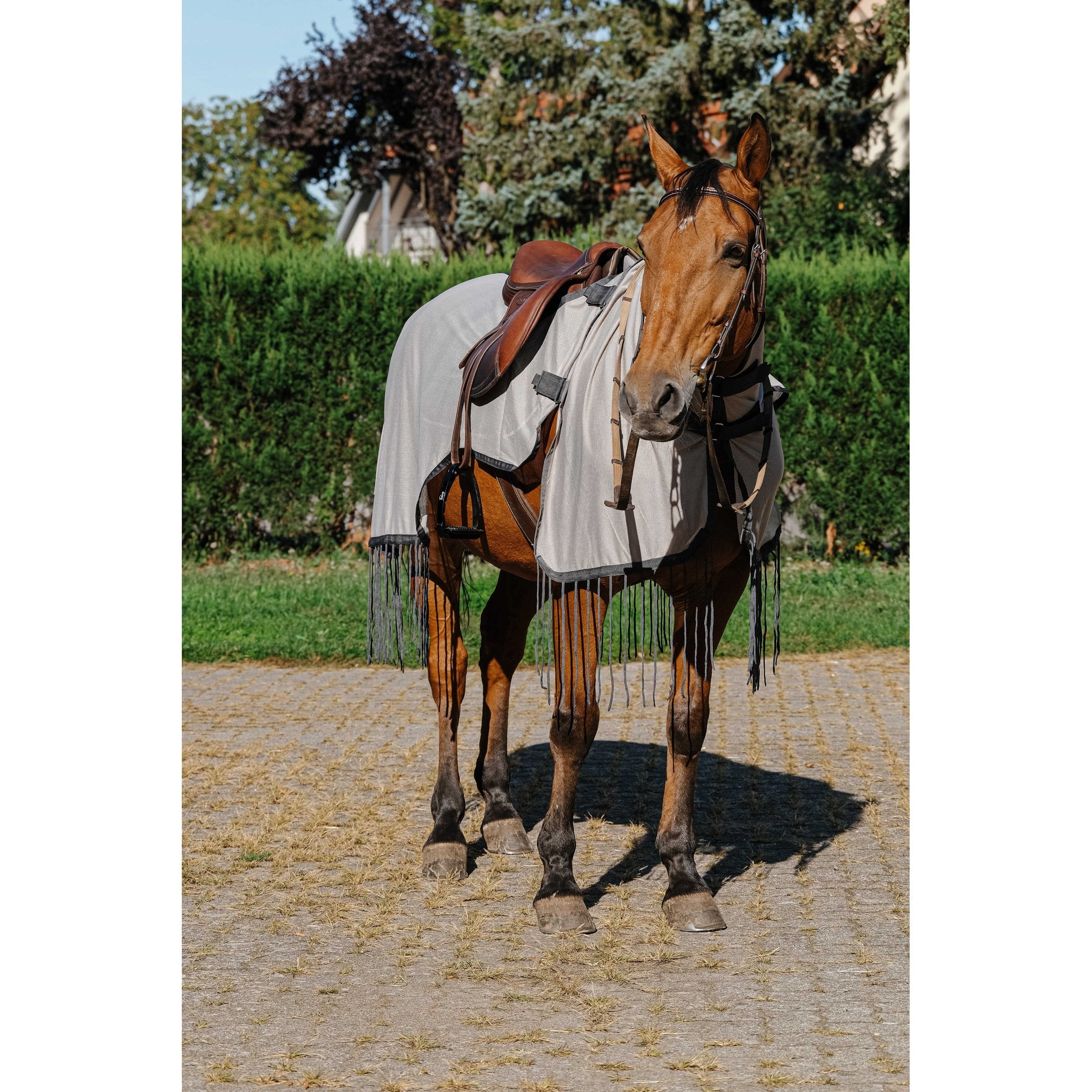 RIDING WORLD Flug /ridtäcke
