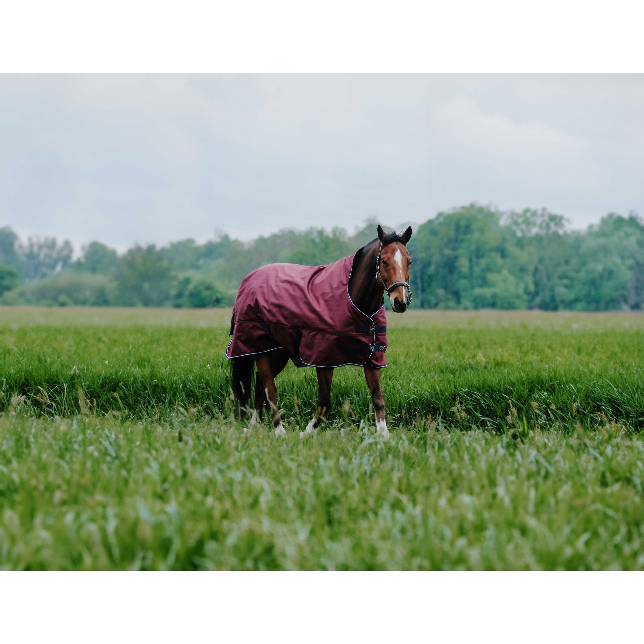 Equithème TYREX 1200D täcke hög hals 0 g