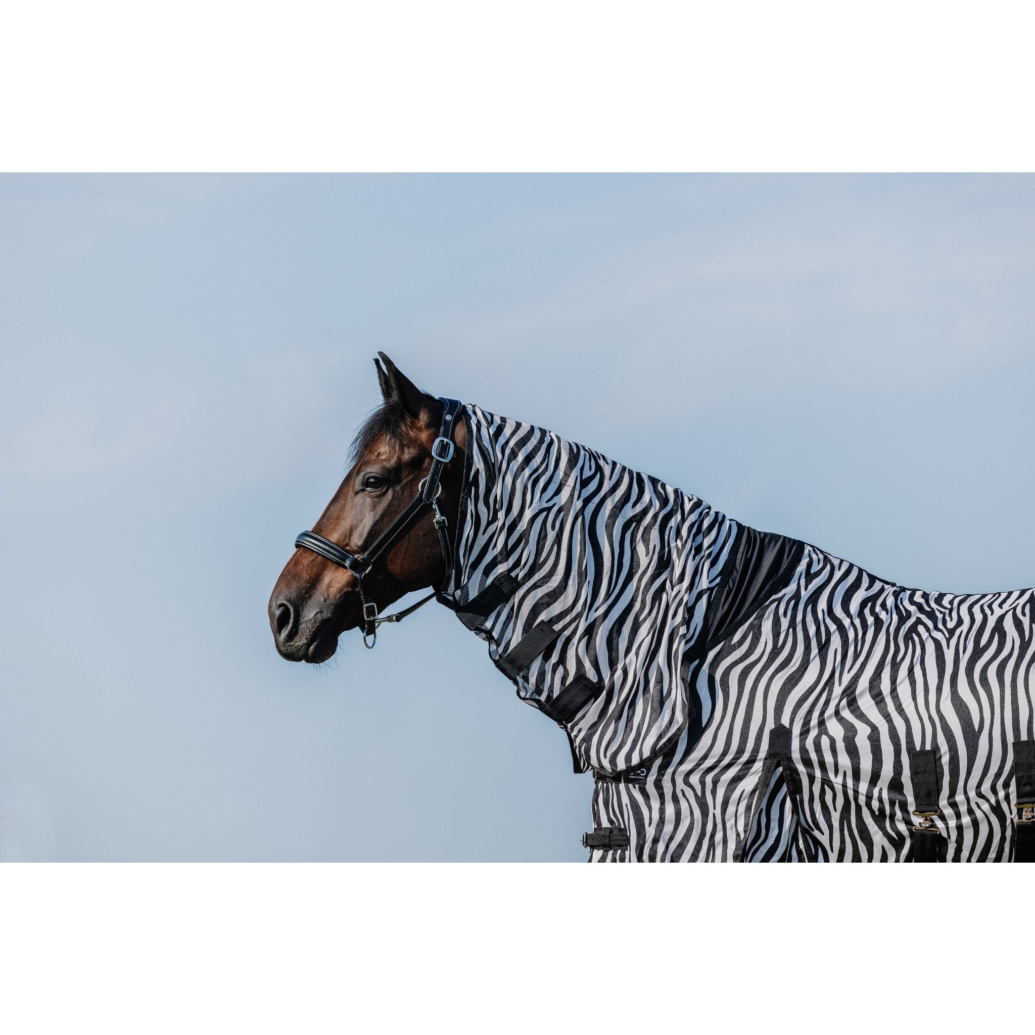 RIDING WORLD Belly Mesh Flugtäcke med hals