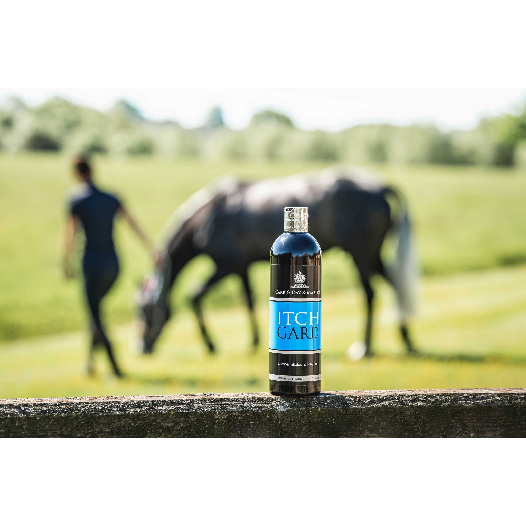 CARR & DAY & MARTIN Itchgard Lotion