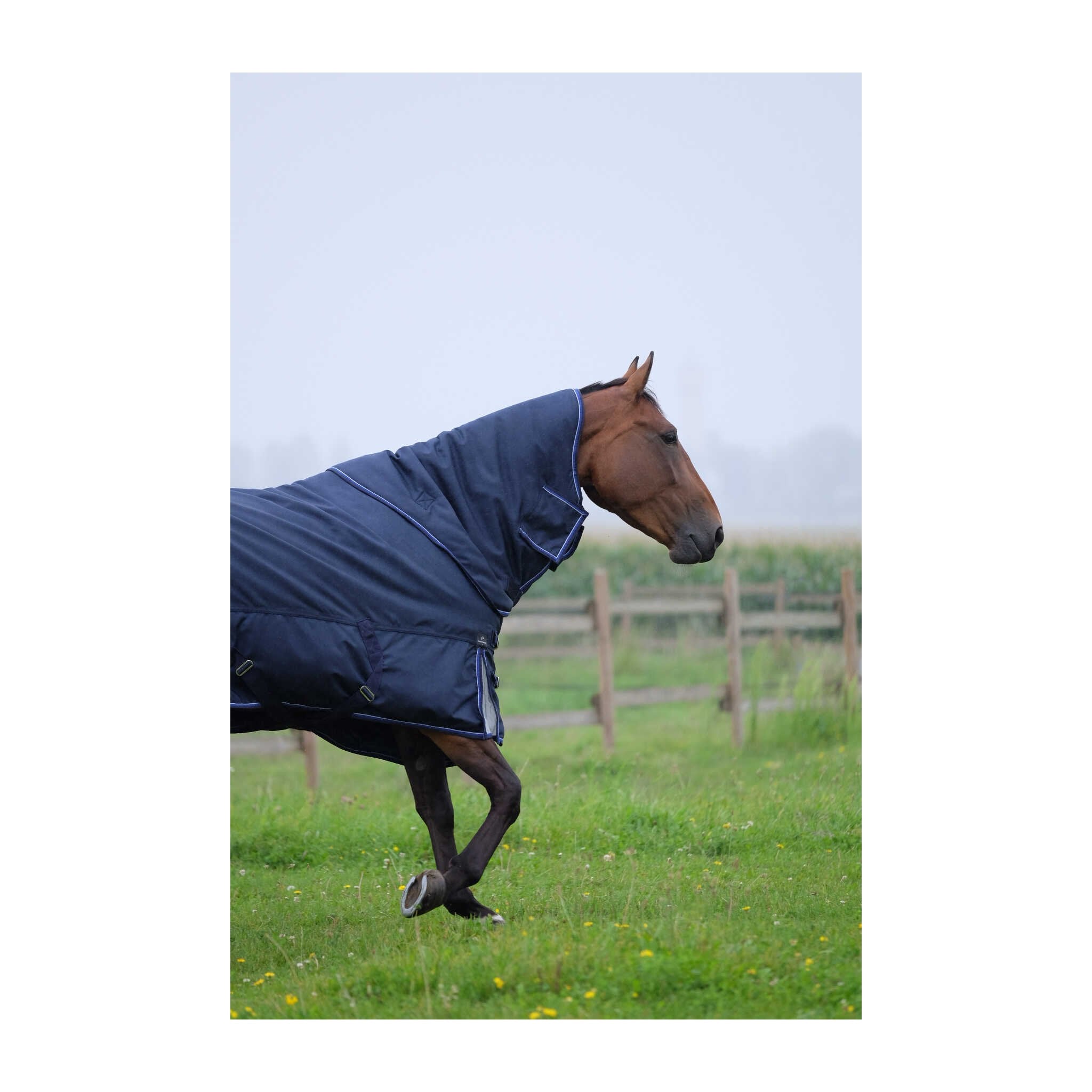 Equithème TYREX 1680D Turnout täcke 220 g