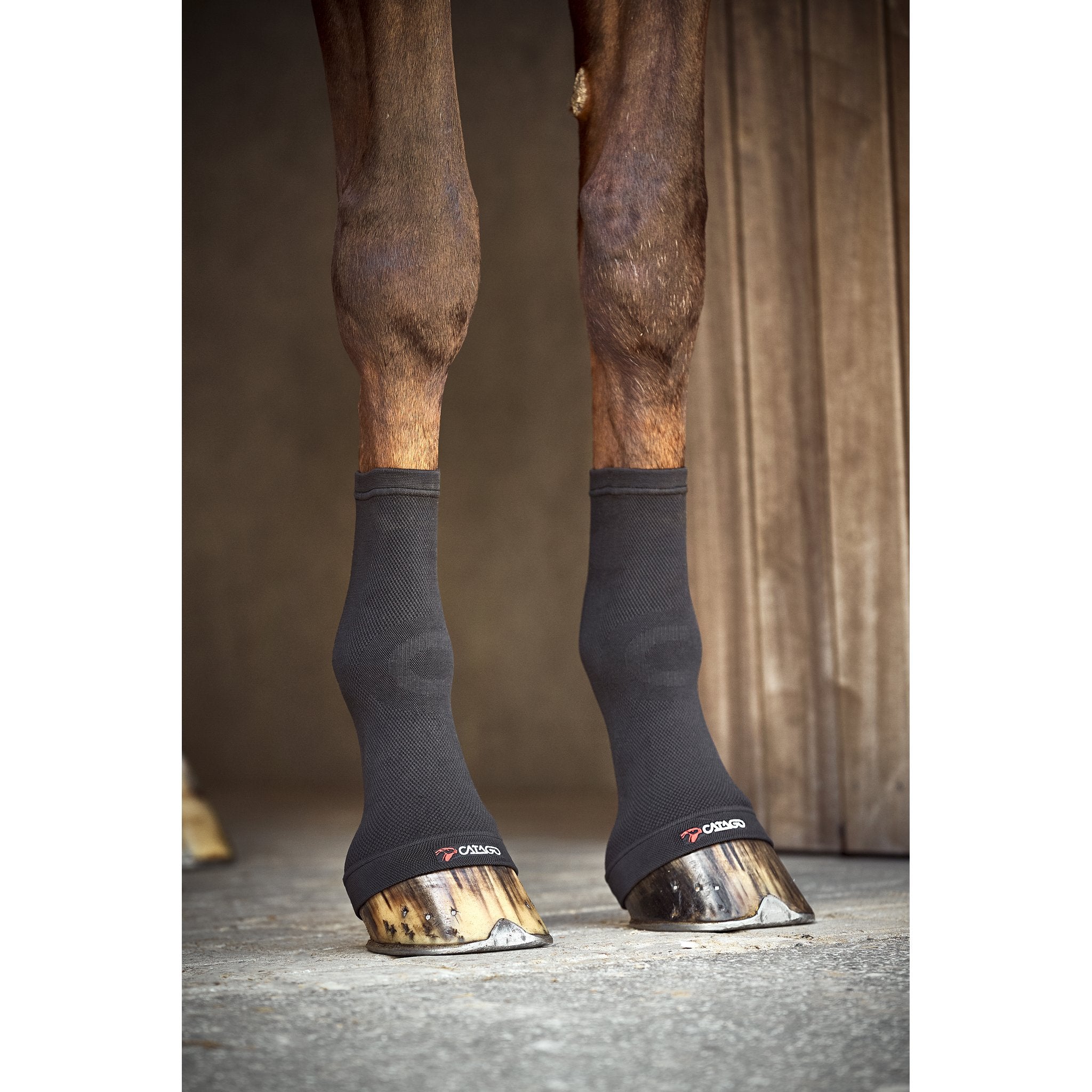 CATAGO FIR-Tech fetlock socks
