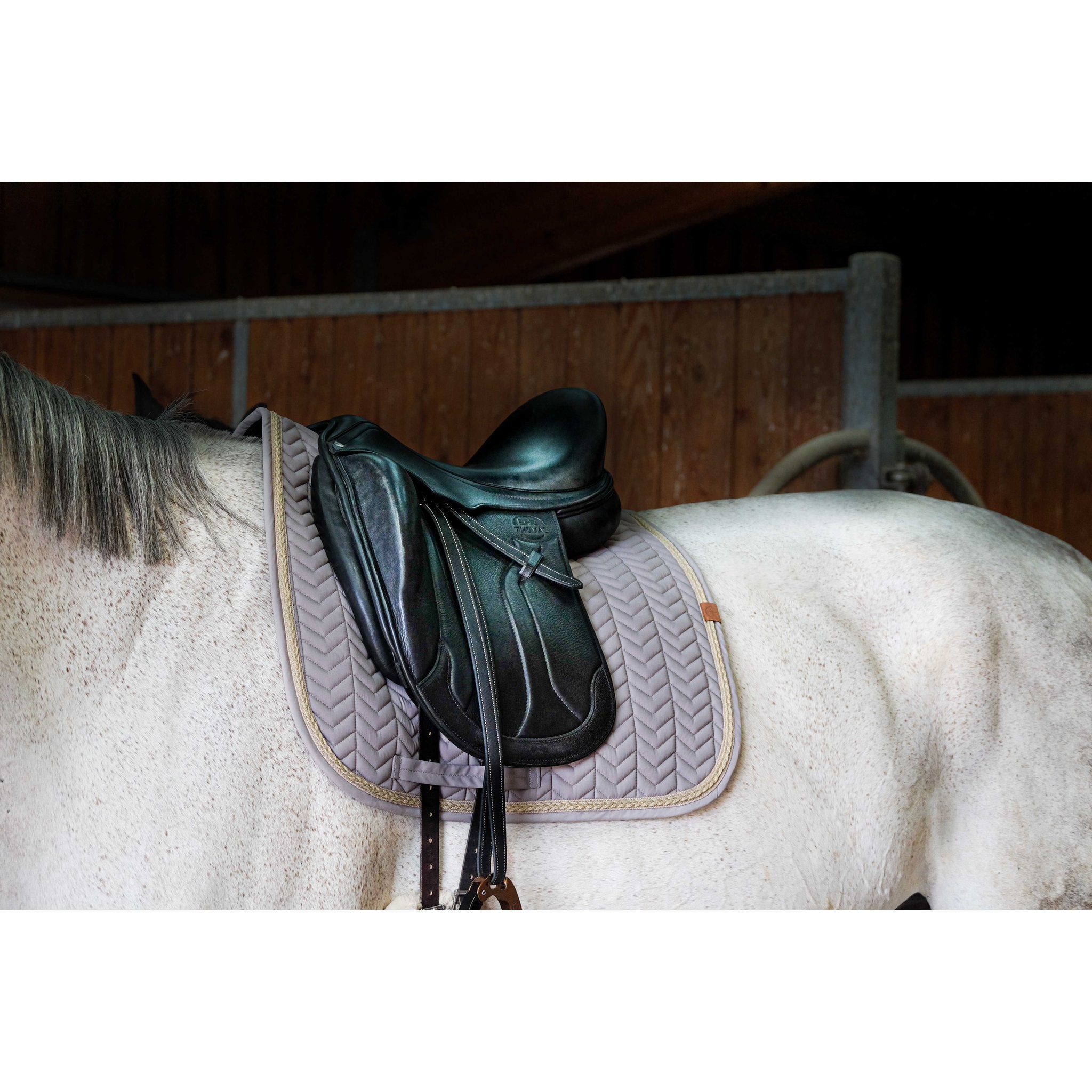 Equithème Softy Schabrak dressyr