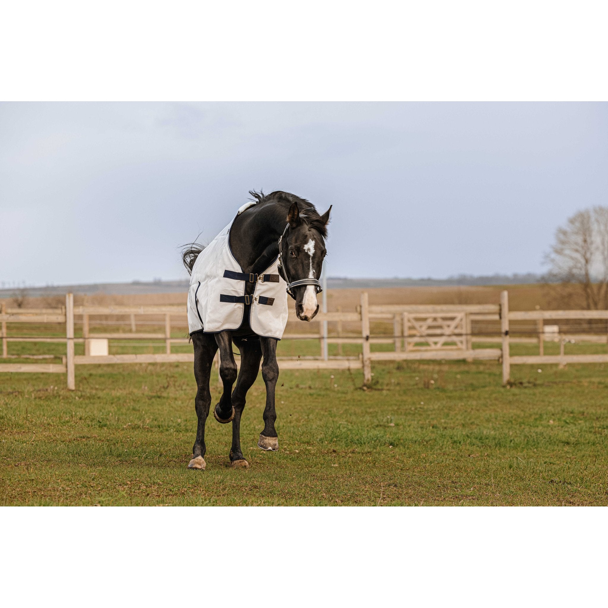 Equithème PVC Anti UV-täcke