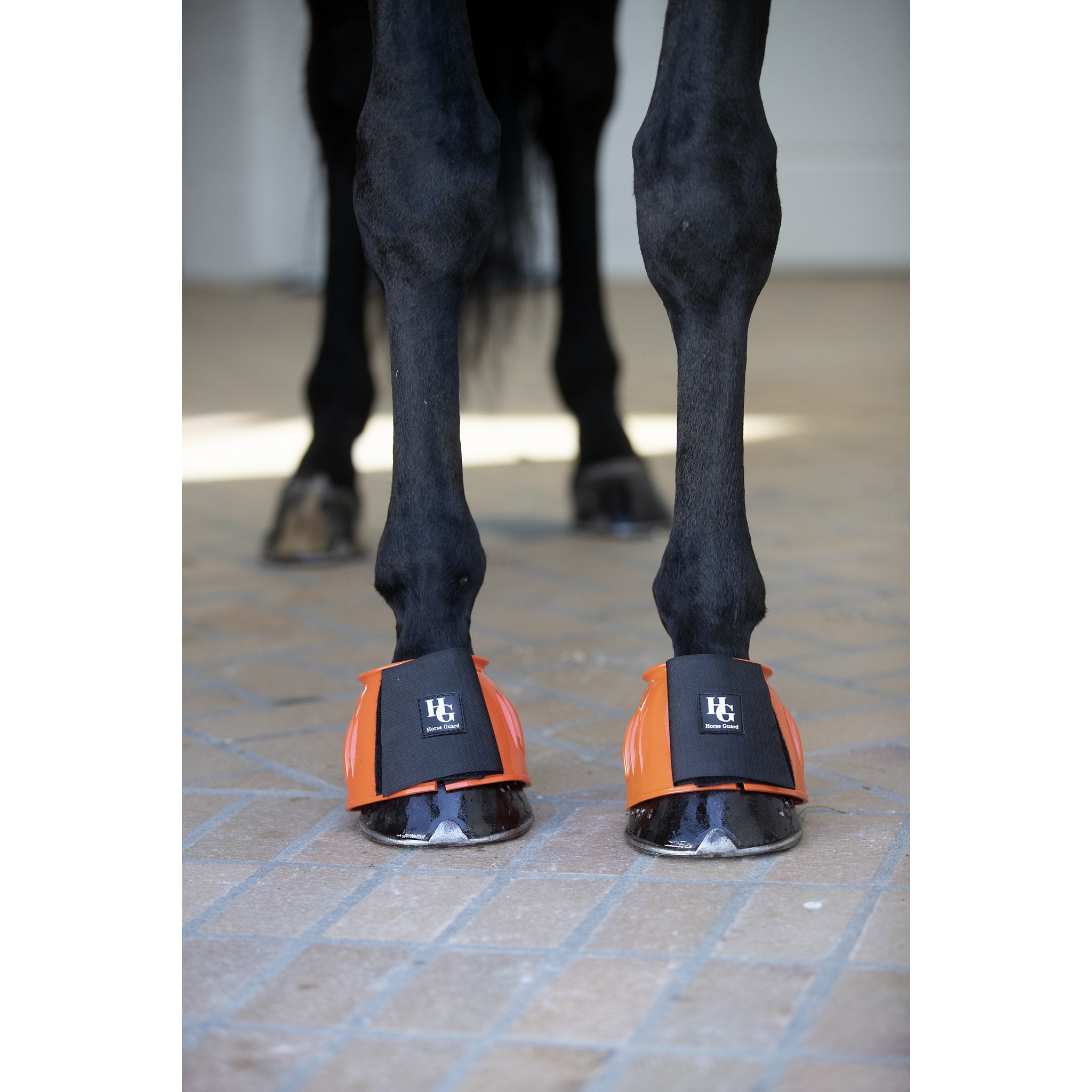 HorseGuard Tamsin Boots