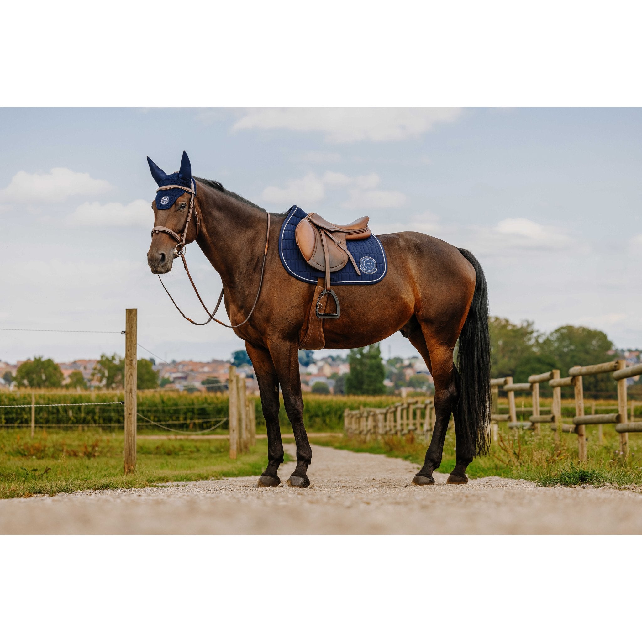 Je t'aime Equithème Compet Schabrak