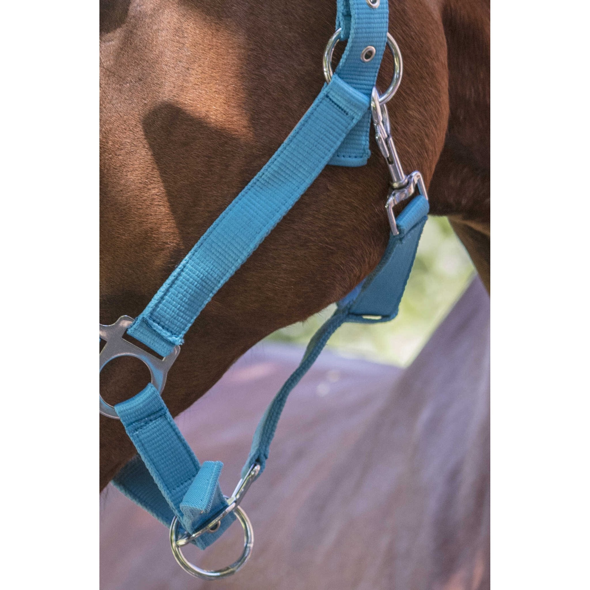 Norton Fluo Lined grimma