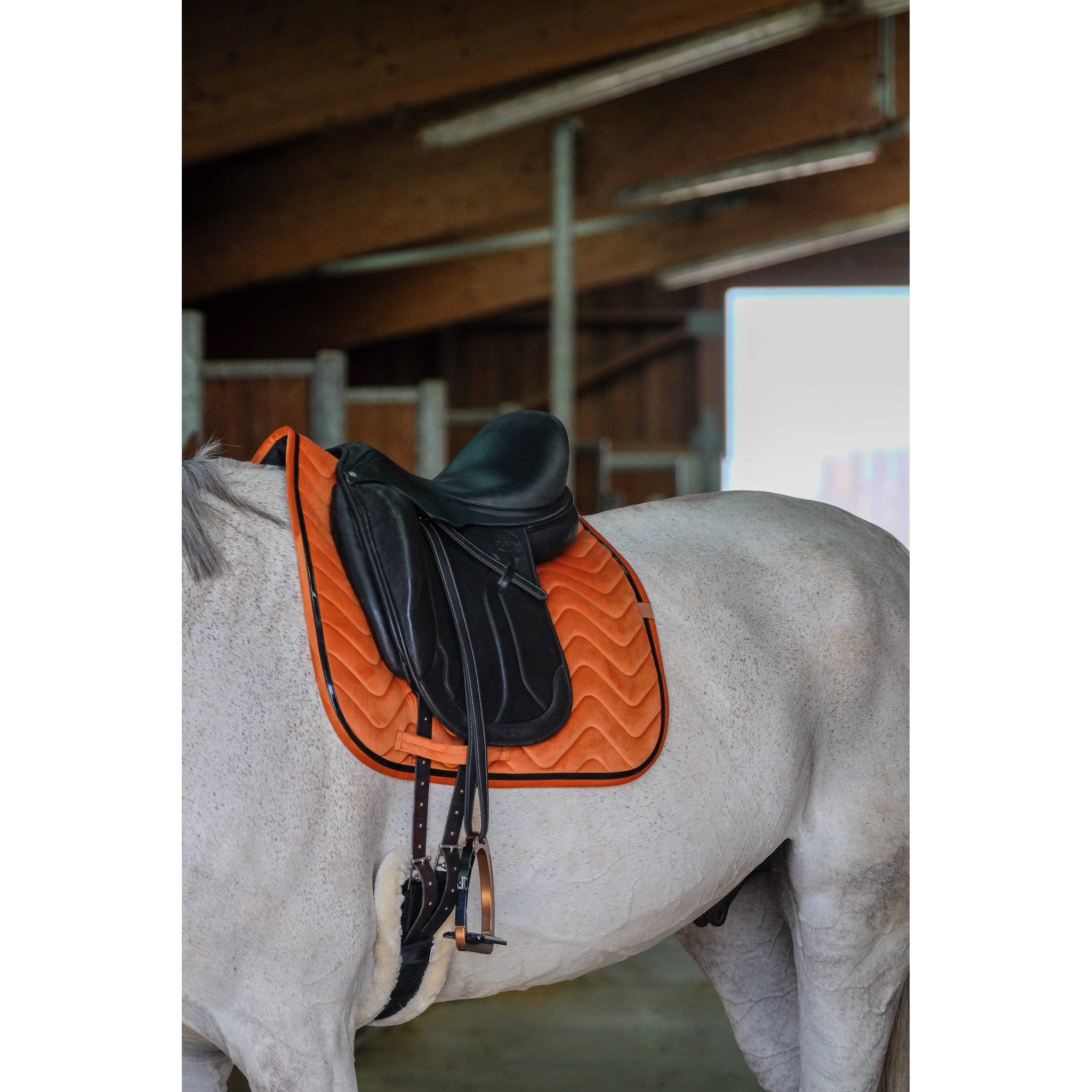 Equithème Glossy Schabrak Dr