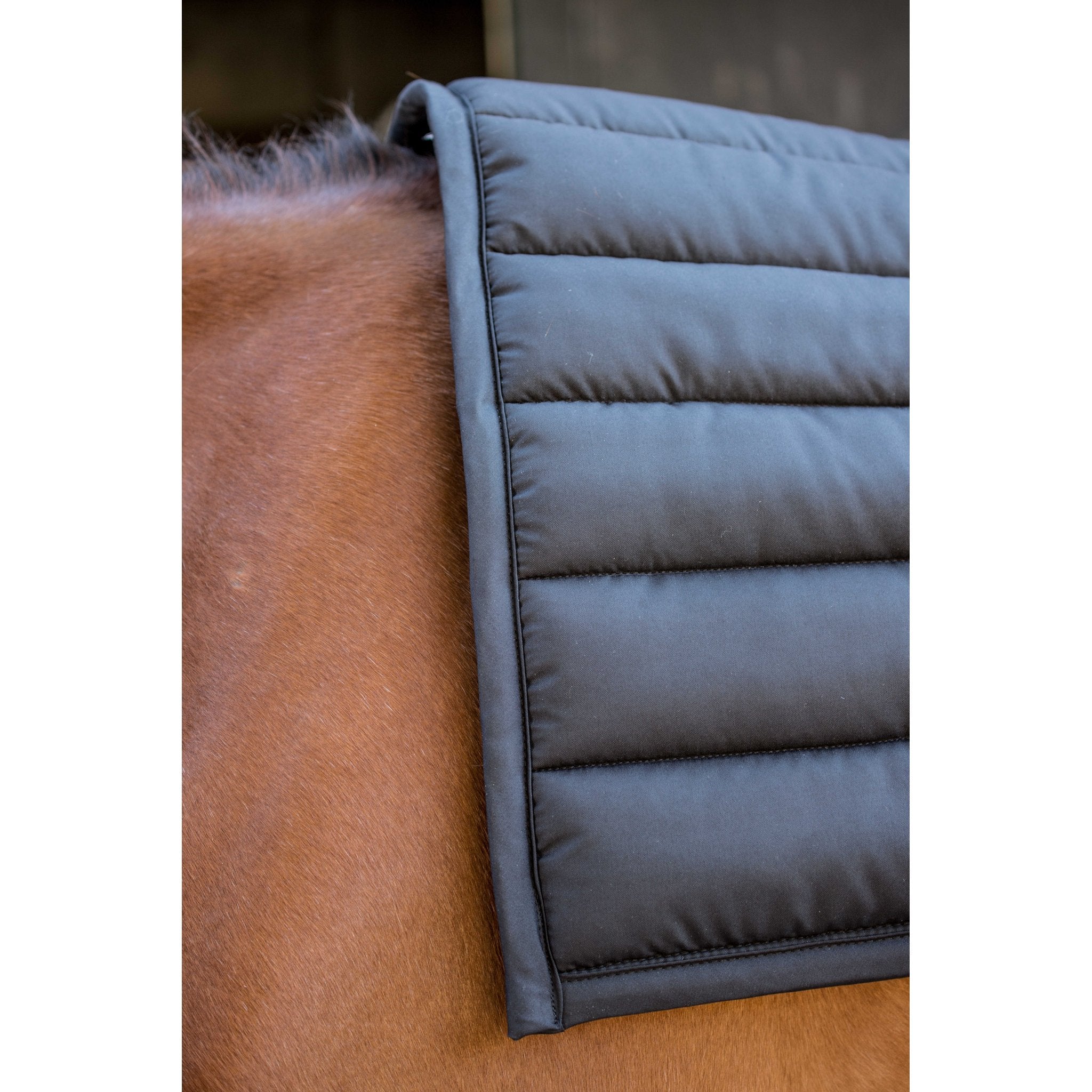 PADDOCK Big pad schabrak