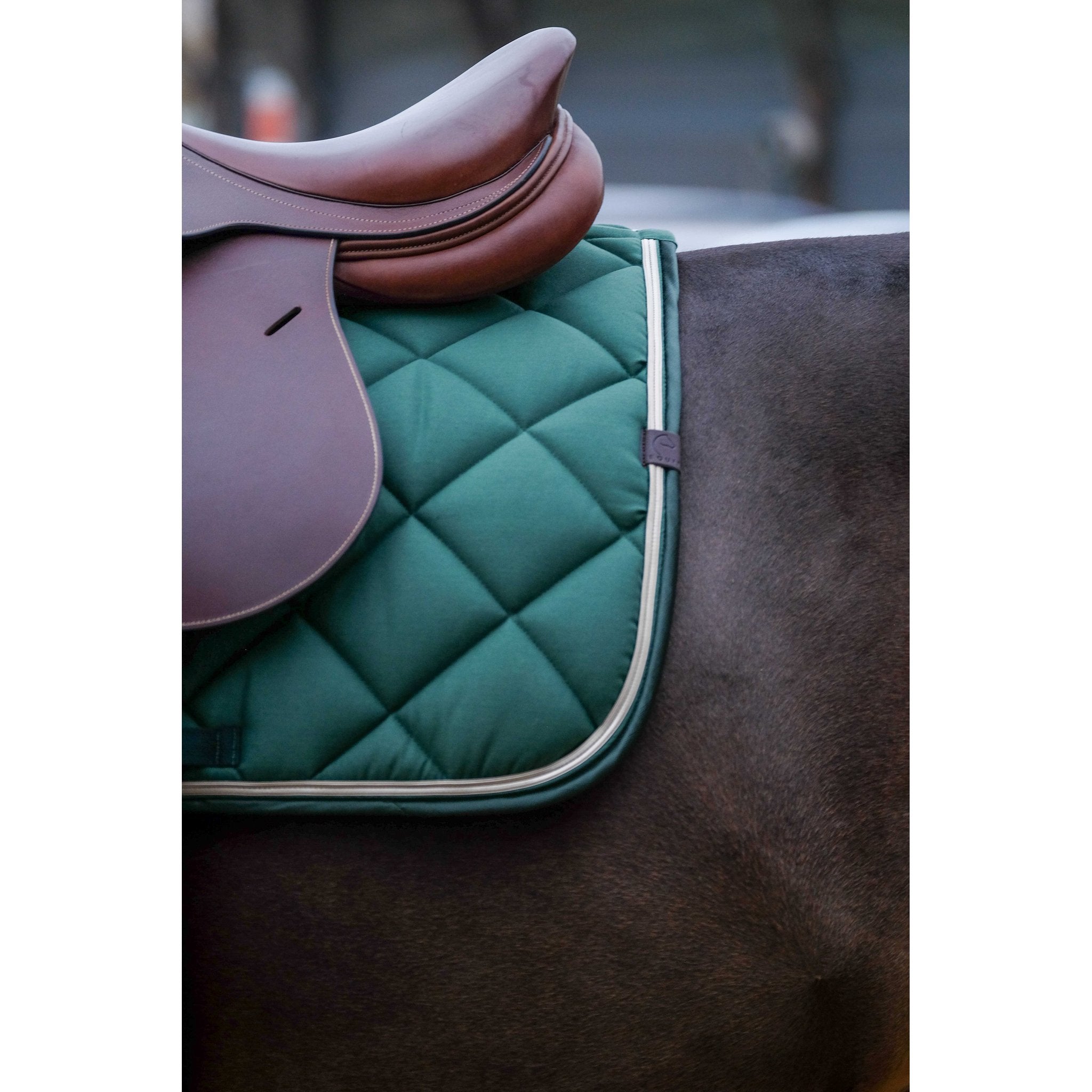 Equithème Classic Schabrak