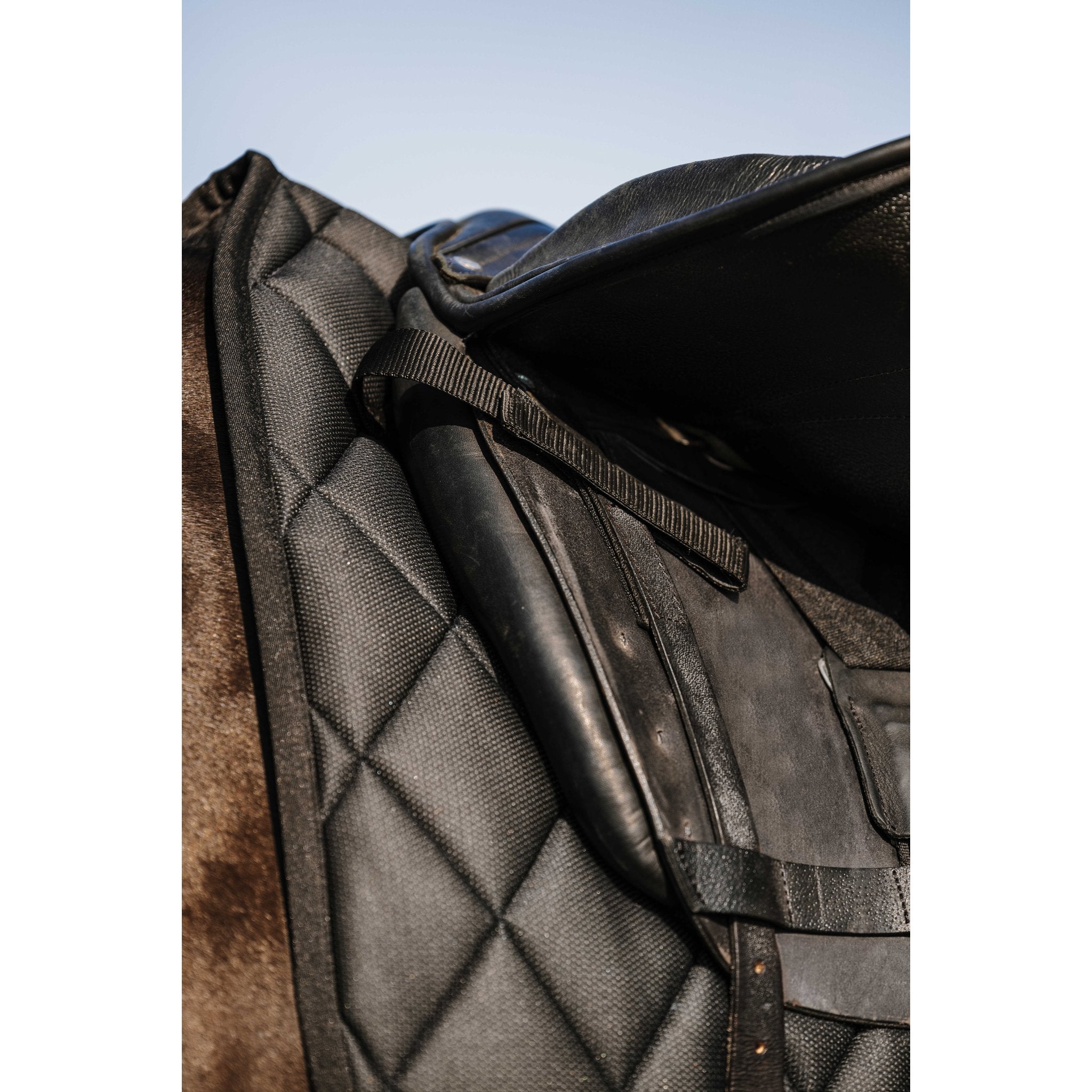 RIDING WORLD School Dressyrschabrak