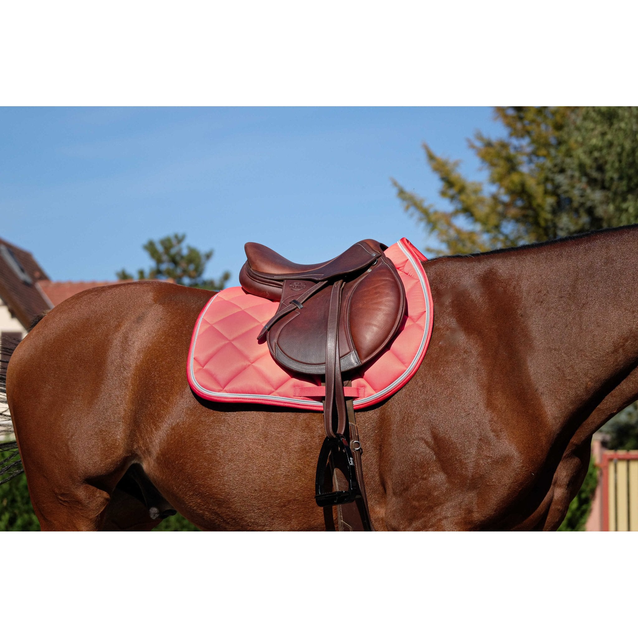 Equithème Classic Schabrak