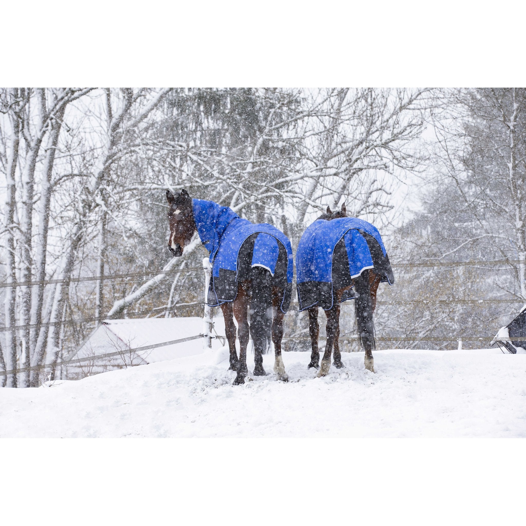 Equithème TYREX Aisance 1200D hög hals täcke 300 g