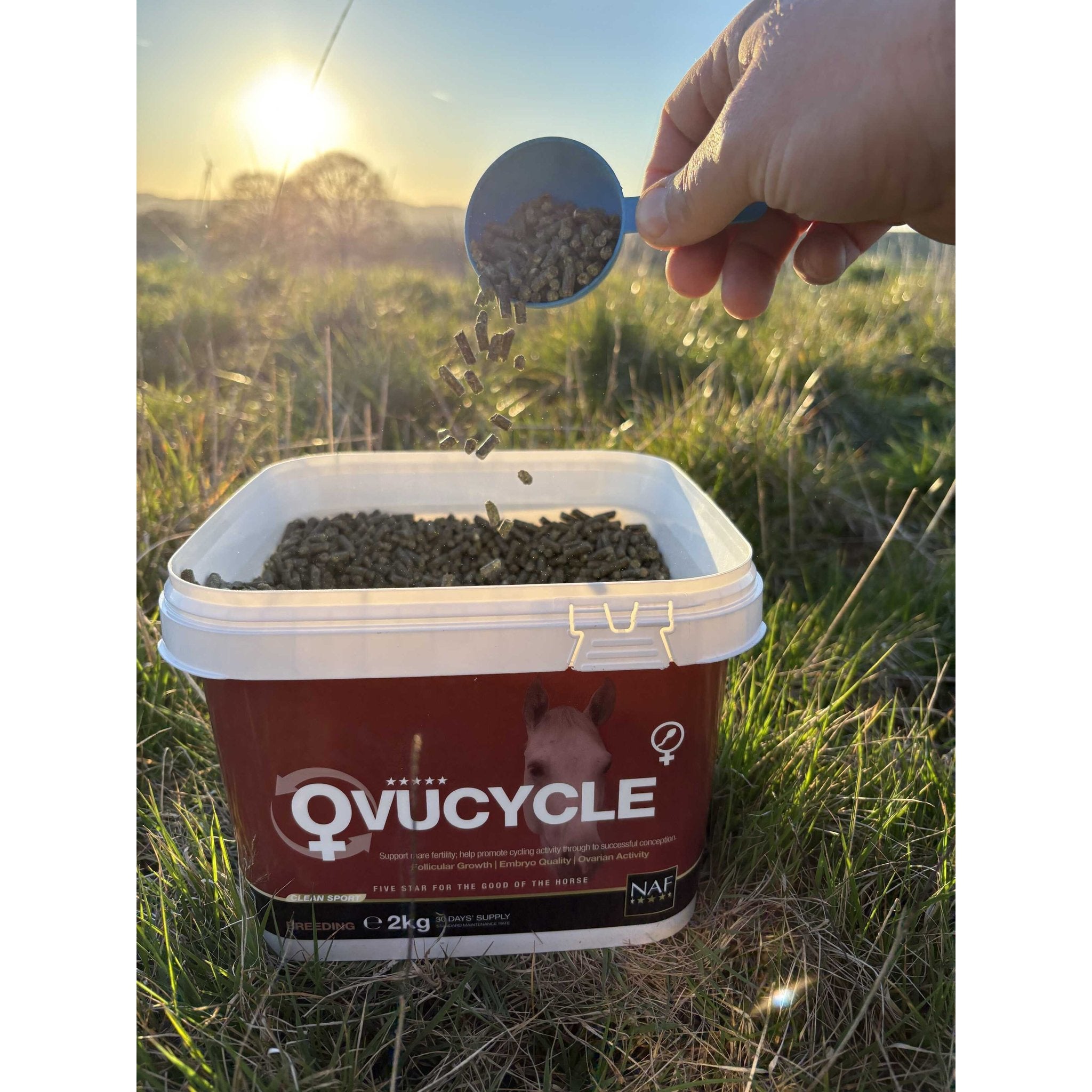 Complementary feed Ovucycle – NAF