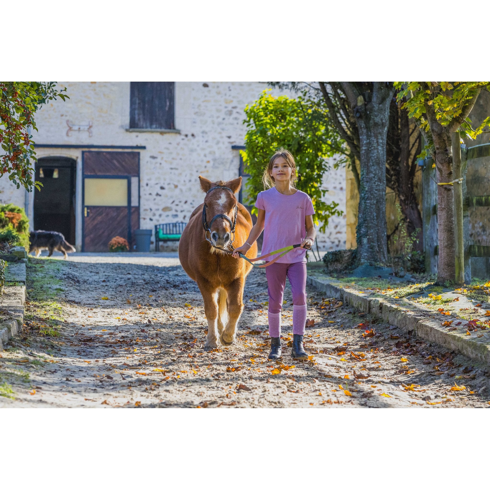 Equitheme Ridbyxa EK-Carly junior