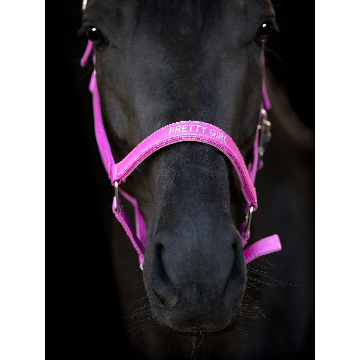 HorseGuard Malva grimma