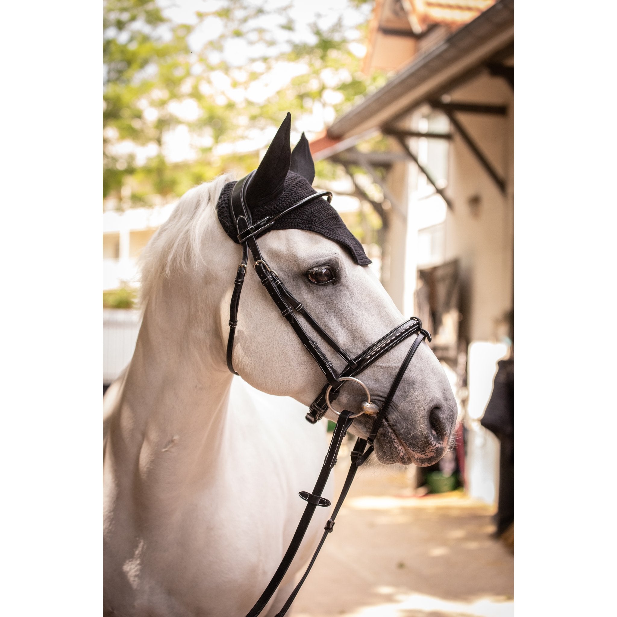 PADDOCK Pro coton luva