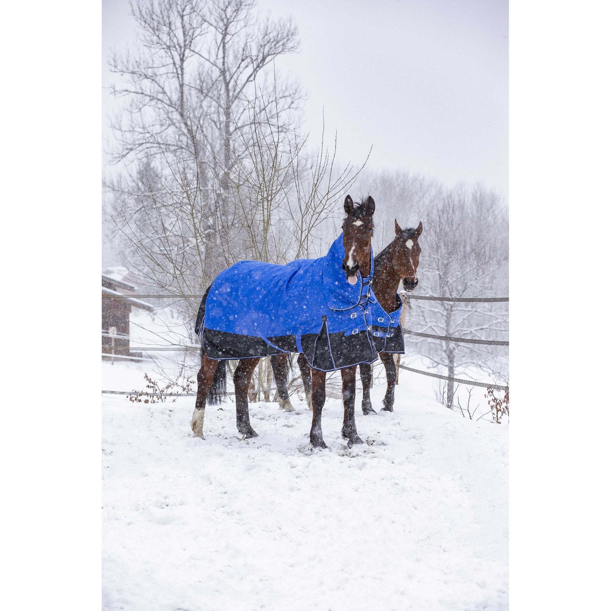 Equithème TYREX Aisance 1200D hög hals täcke 300 g