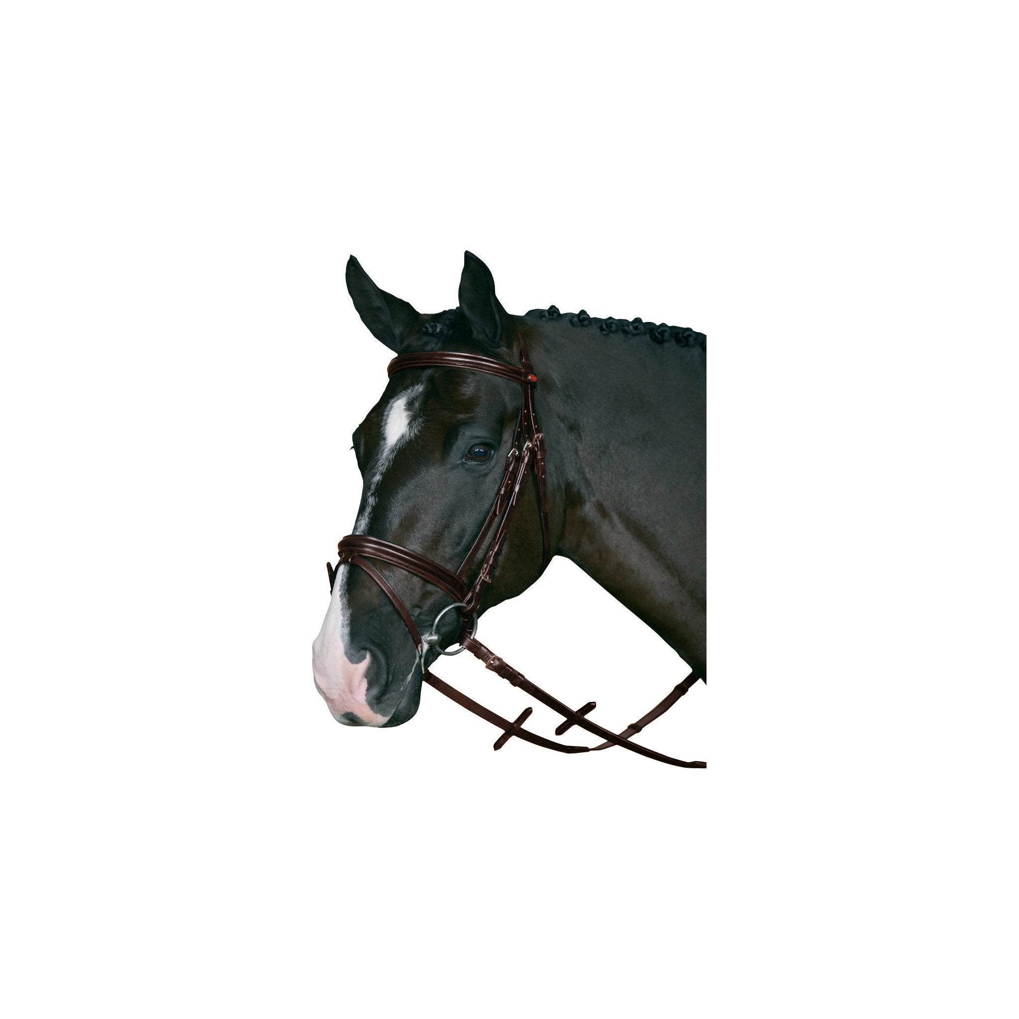 HorseGuard Träns m/supergrepp tygel