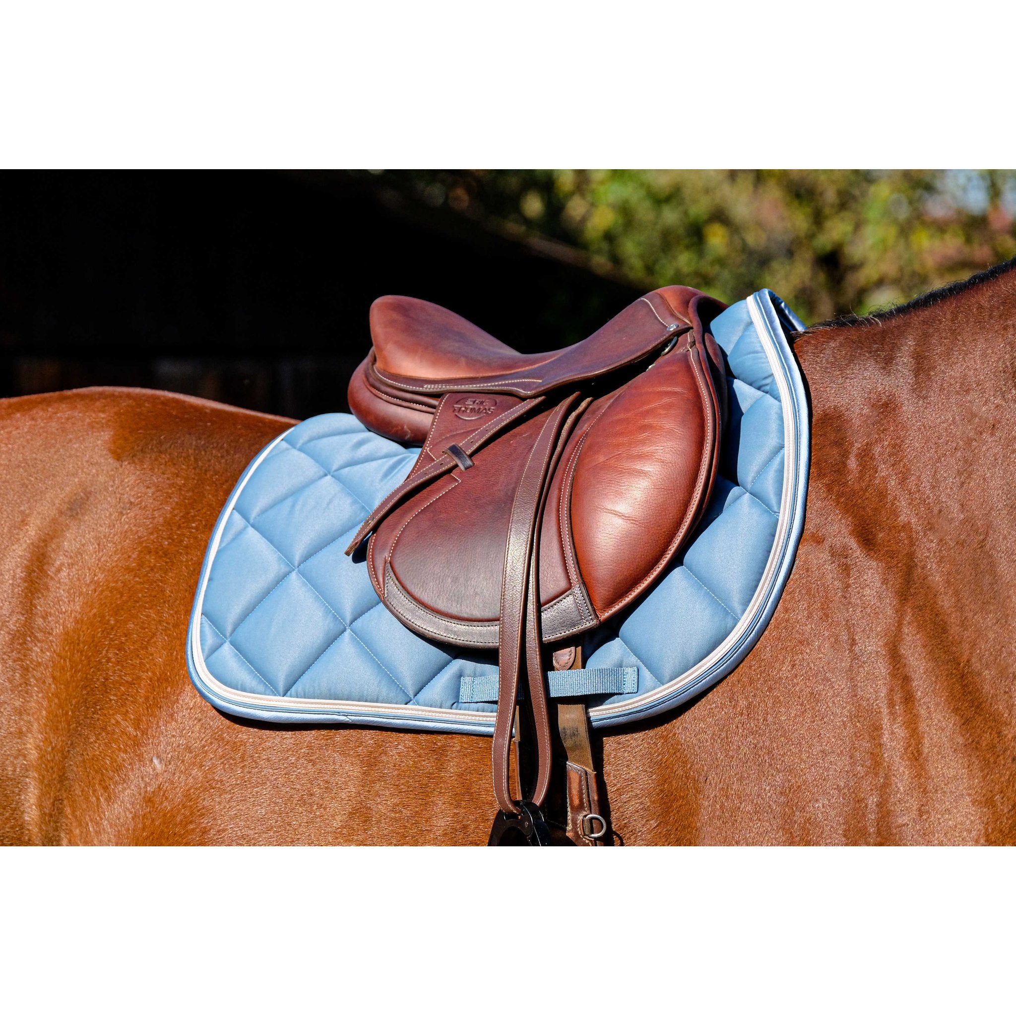 Equithème Classic Schabrak