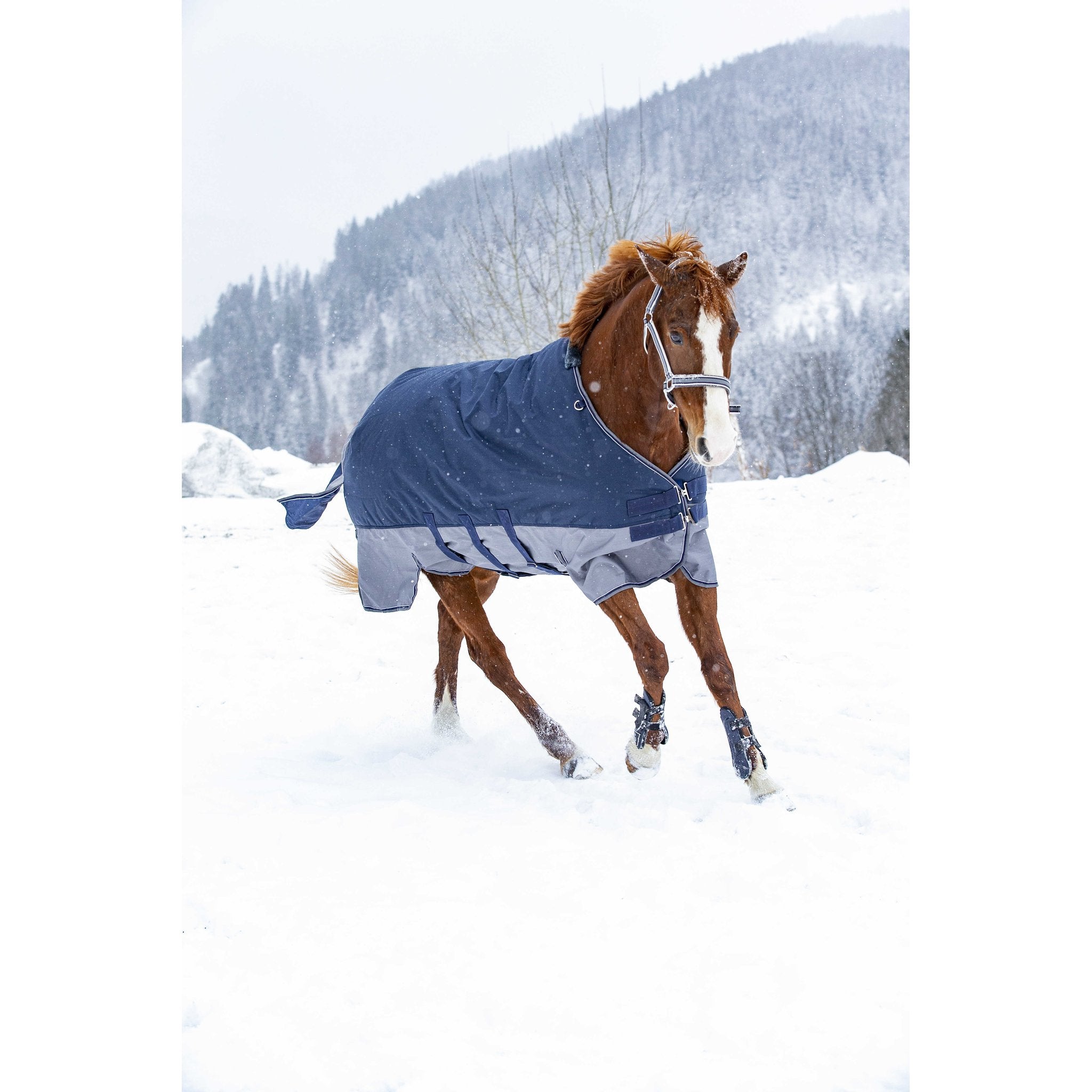 Equithème TYREX 600D Turnout täcke med magskydd 300 g