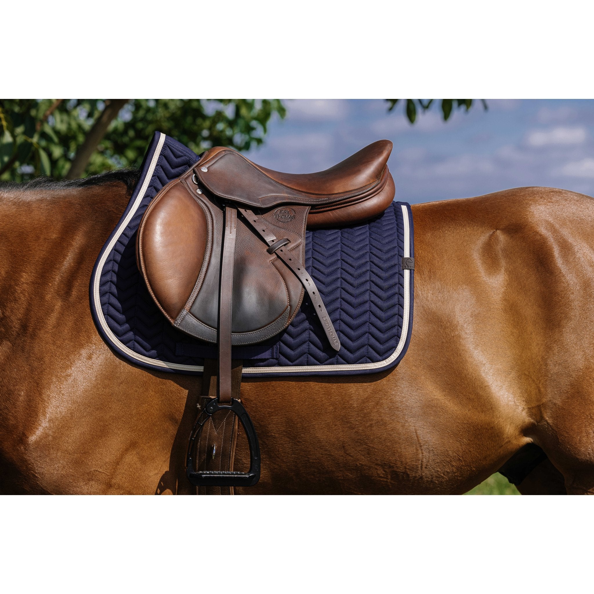Equithème Softypop Schabrak