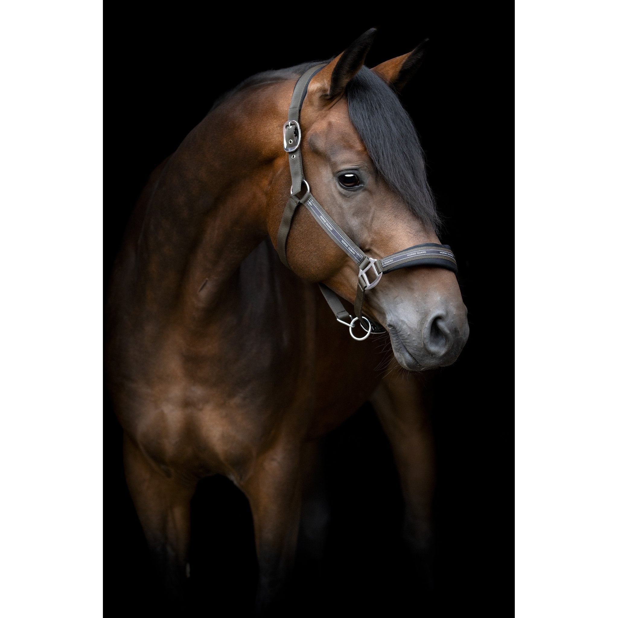 HorseGuard Maison grimma