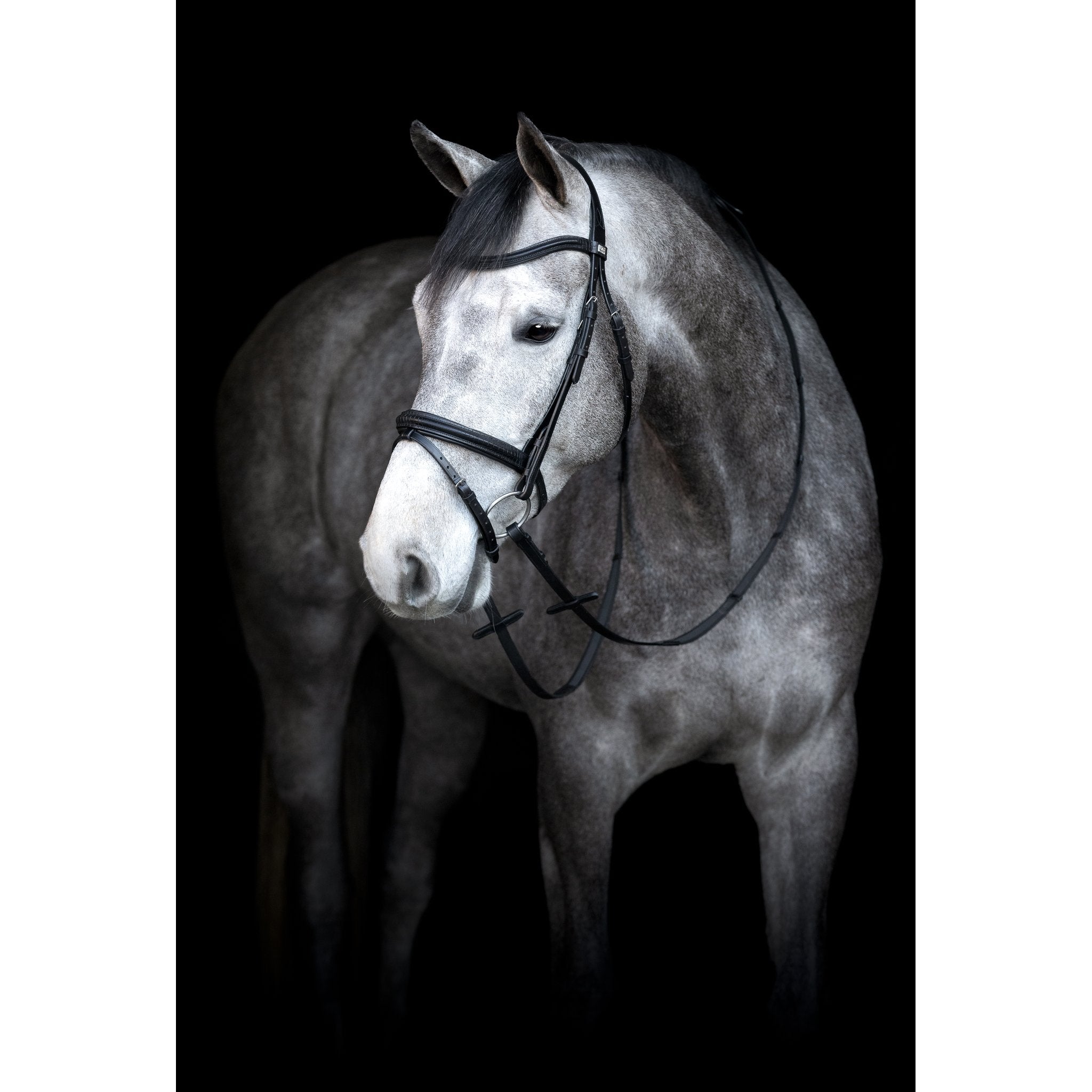 HorseGuard Emi 24.2 träns med kombinerad nosgrimma