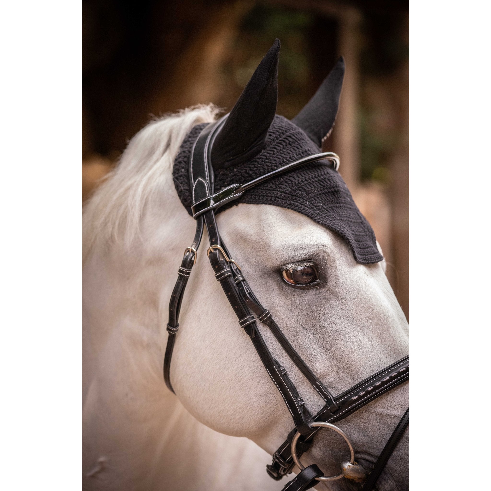 PADDOCK Pro coton luva