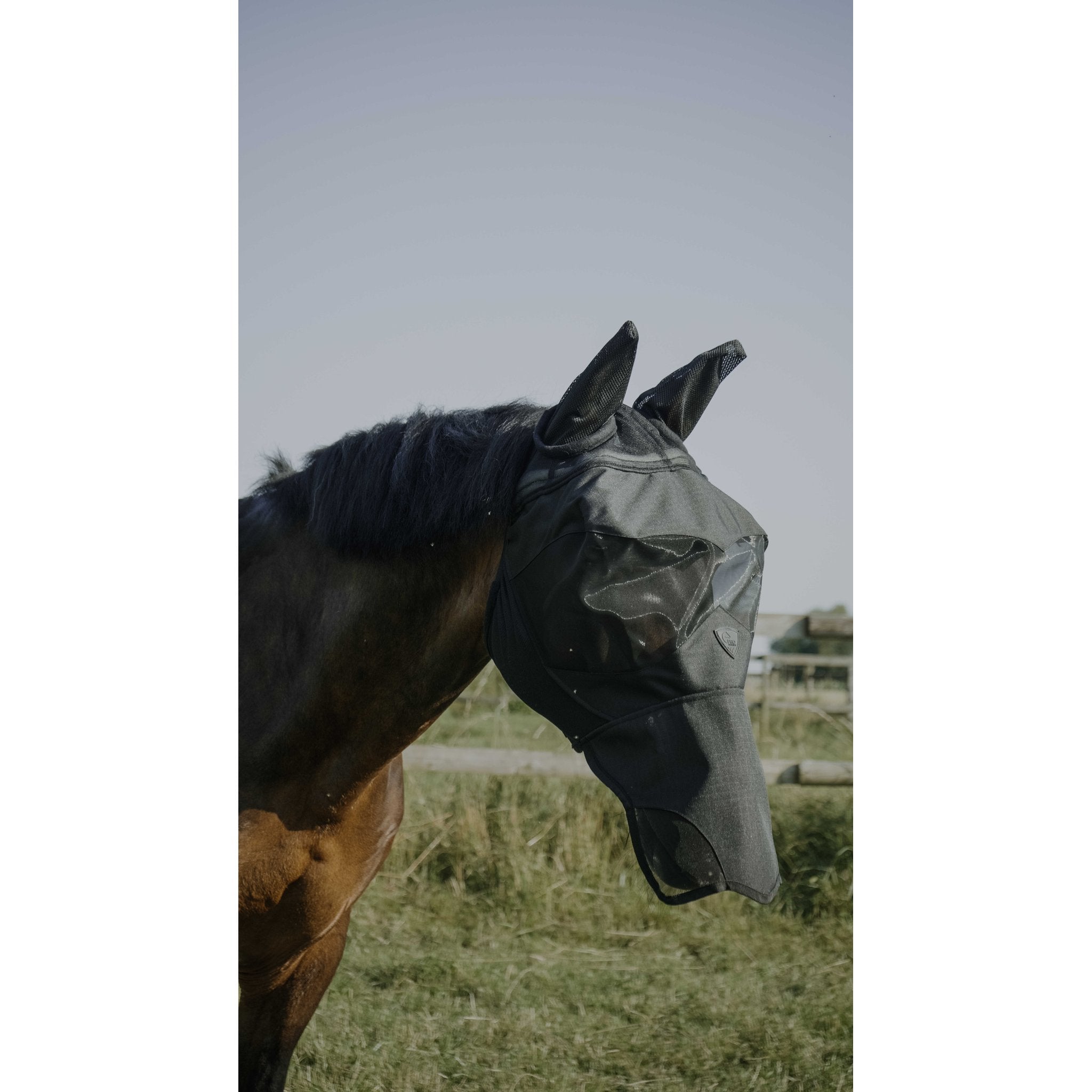 Pro Series Visor flugmask
