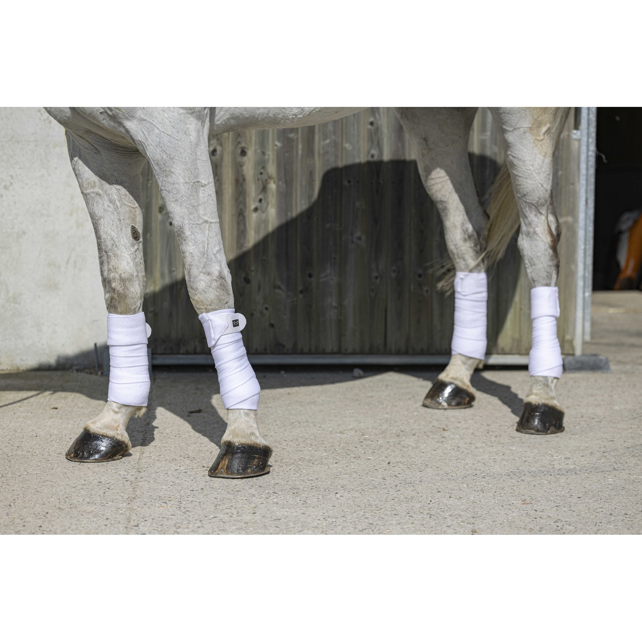 Riding World Eco Benlindor