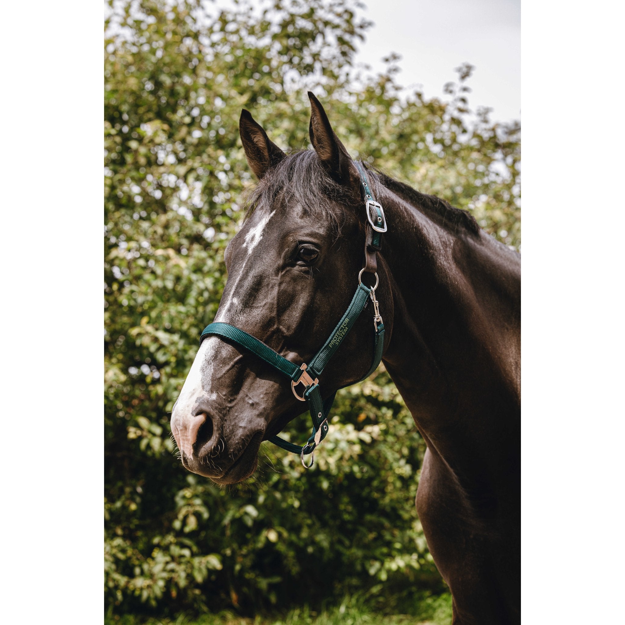 Equithème Protector Nylongrimma