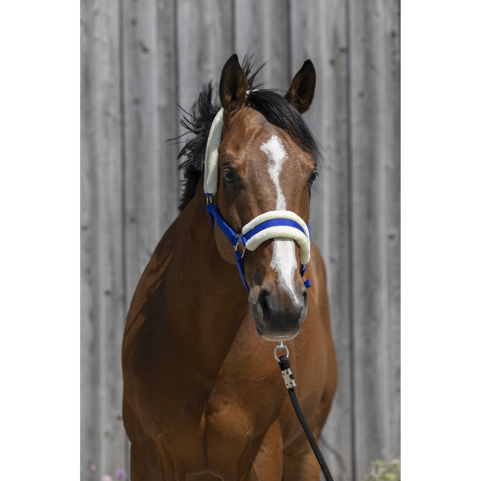 Riding World Grimma med syntetiskt fårskinn