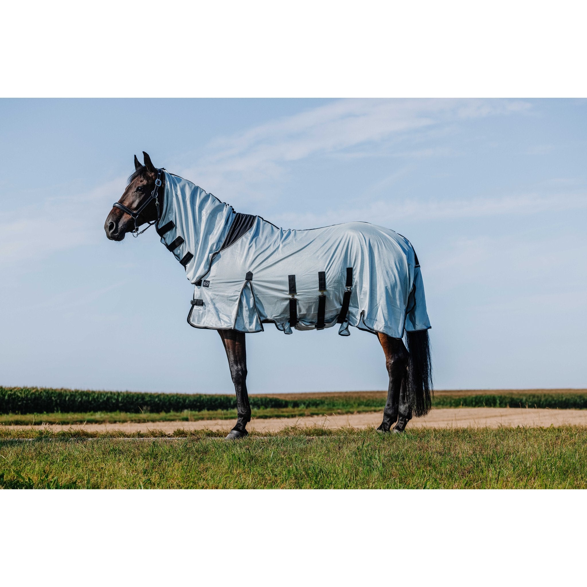 RIDING WORLD Belly Mesh Flugtäcke med hals