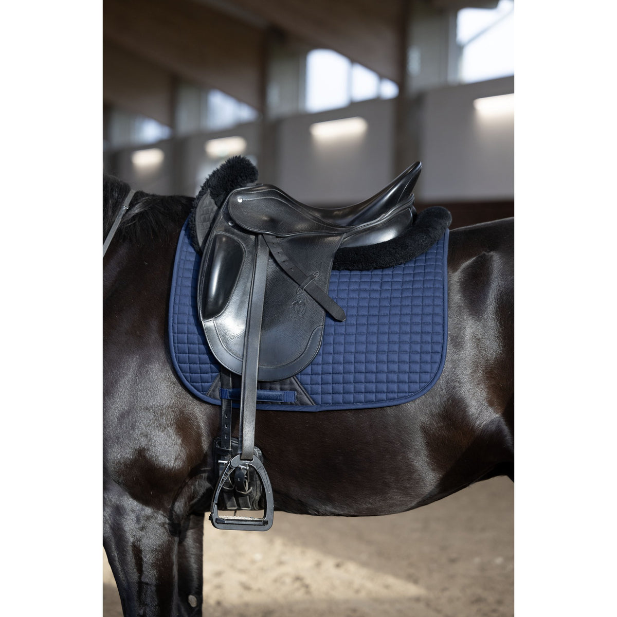 Horse Guard Elmira schabrak, dressyr