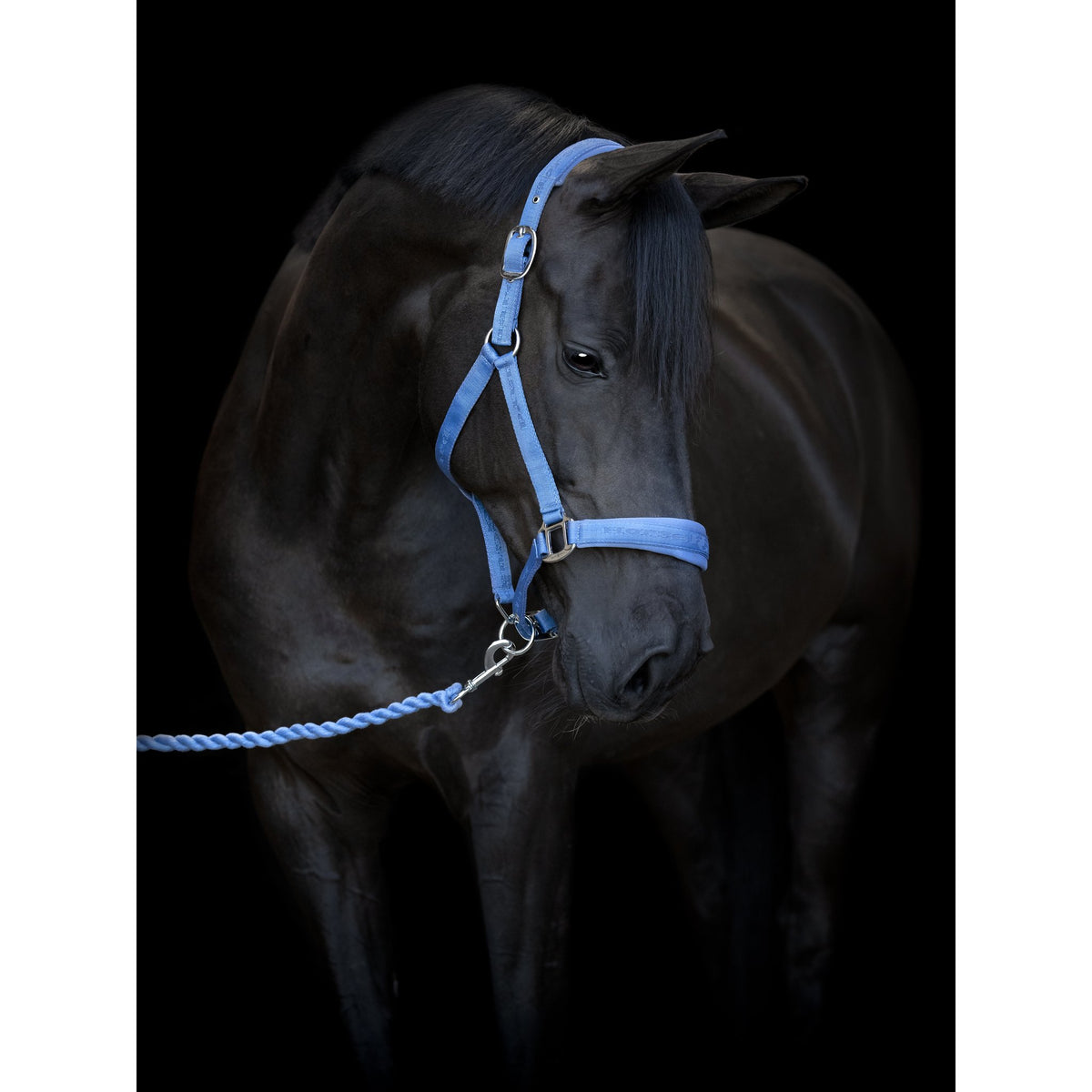 HorseGuard Fonda vridet grimeskaft