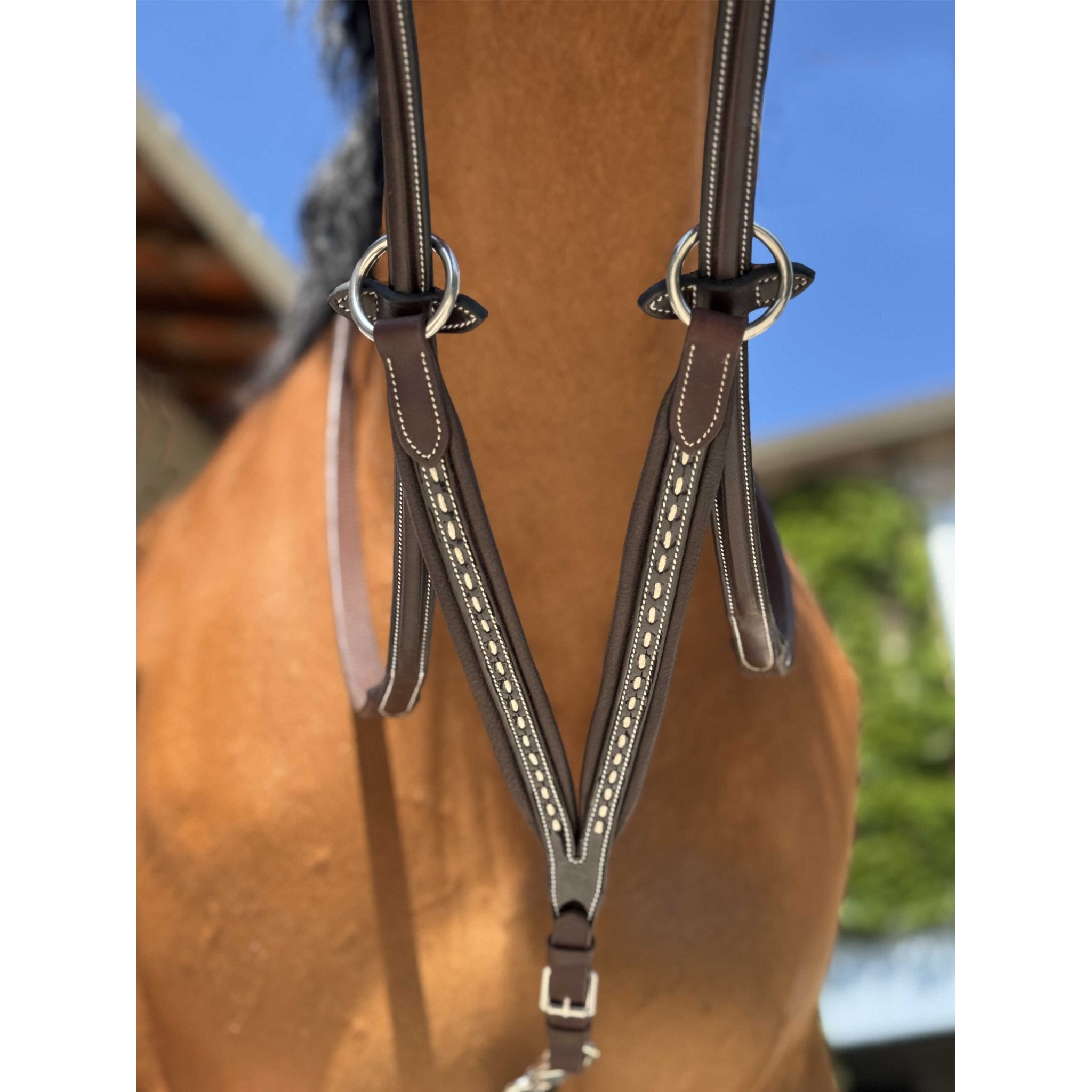 PENELOPE Point Sellier Martingaldel