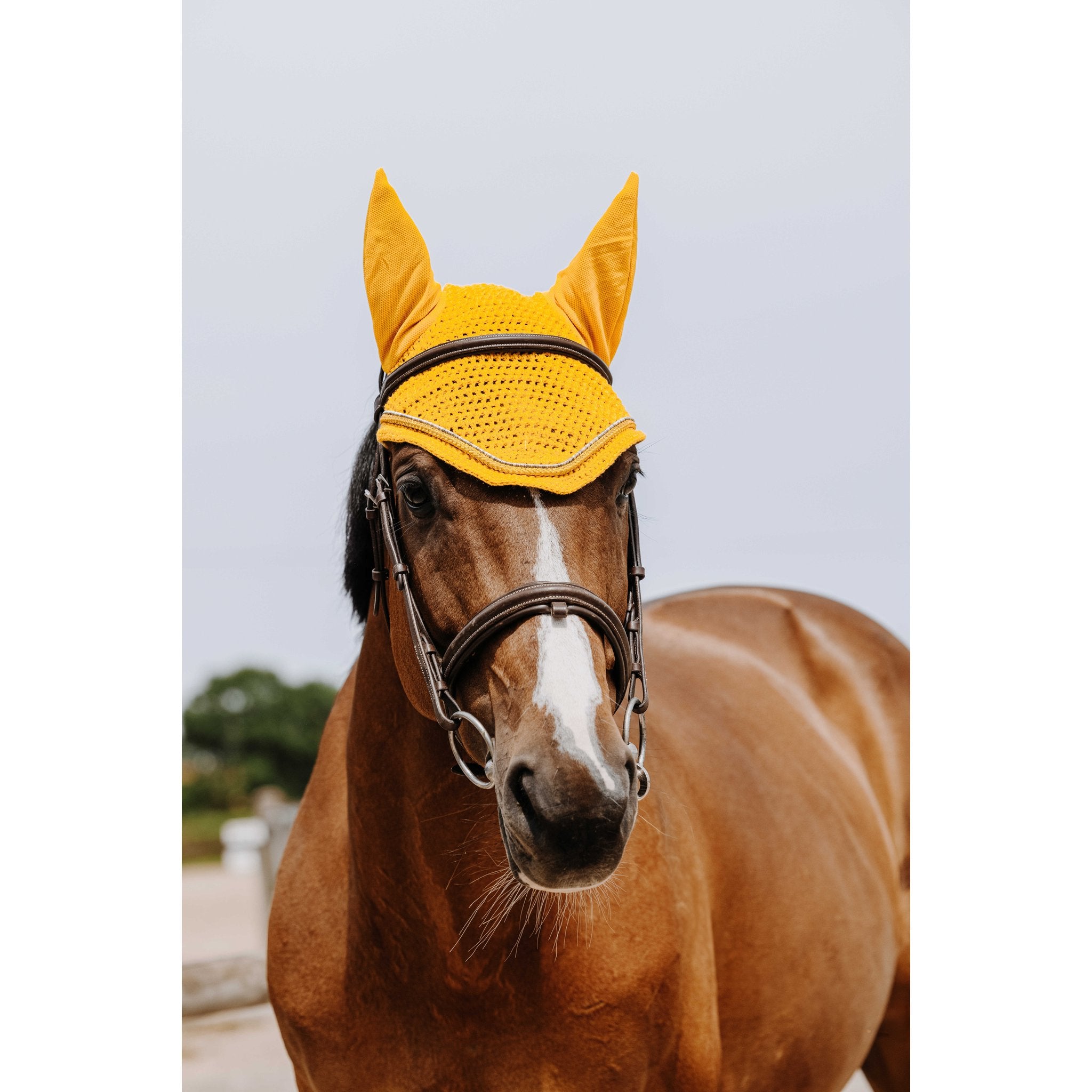 Equithème Hexalight Luva