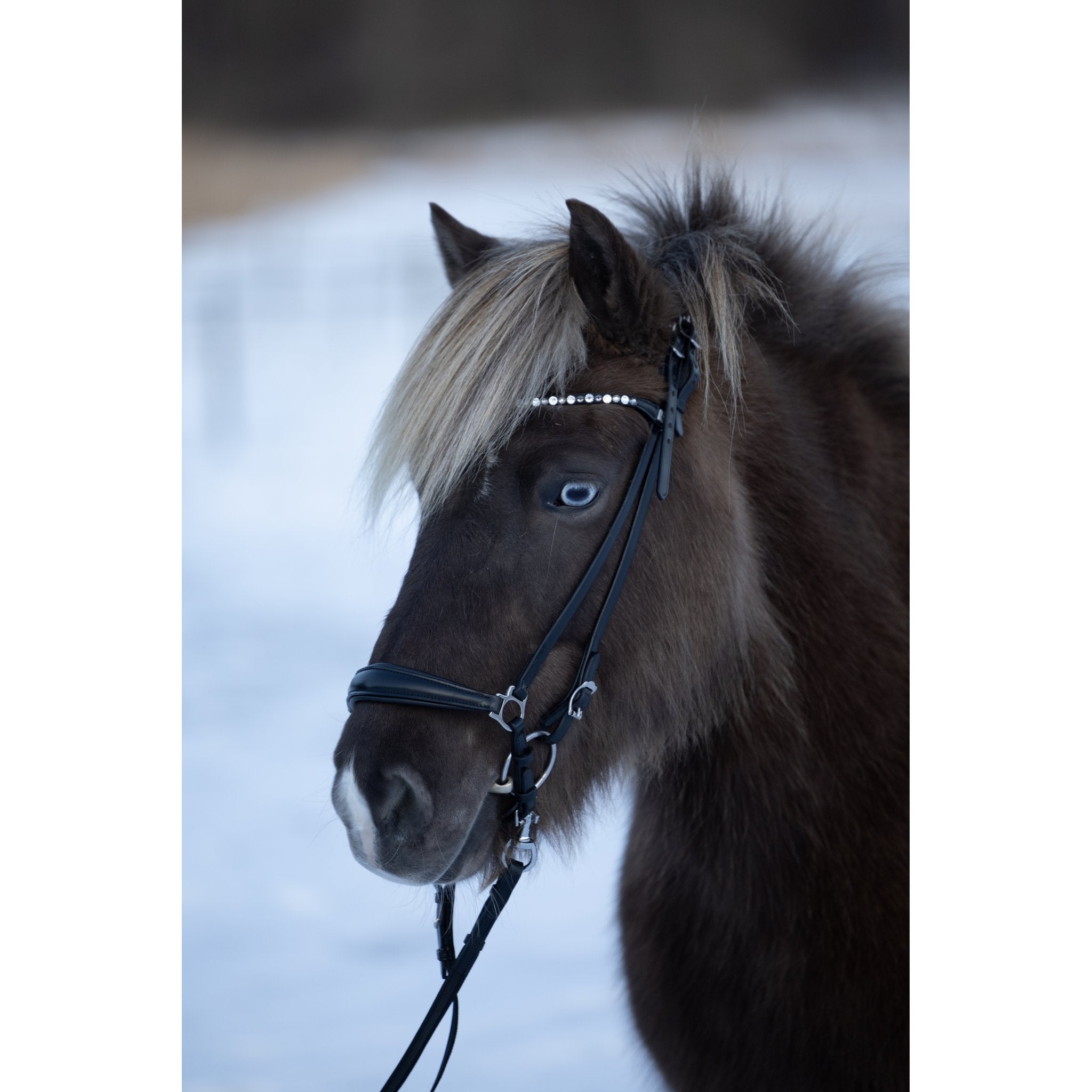 Horse Guard Supergrip tyglar med krokar
