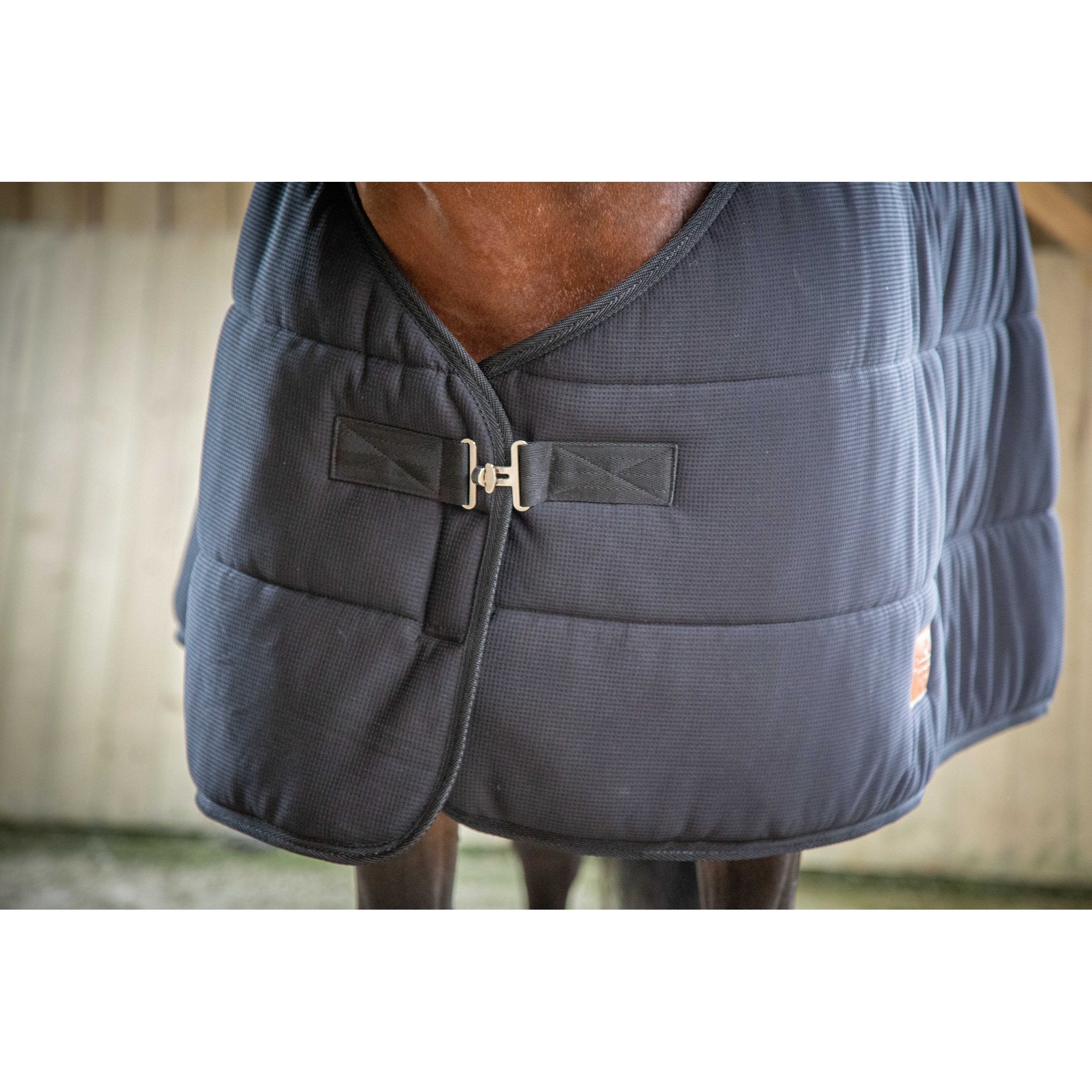 PADDOCK undertäcke 200 g