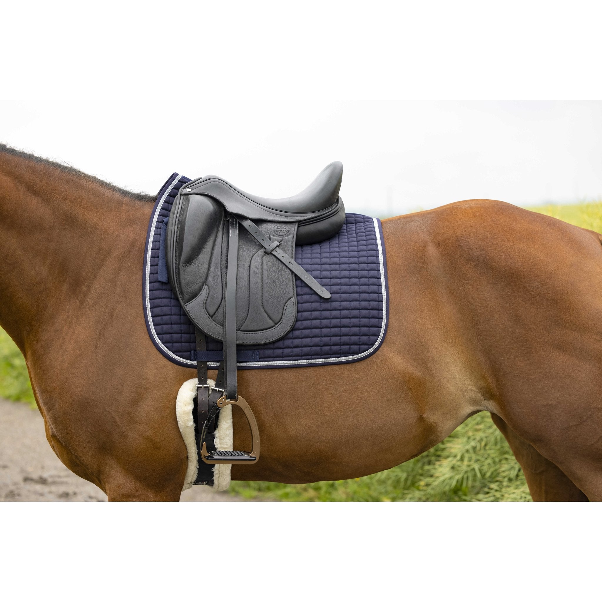 RIDING WORLD Girly Dressyrschabrak